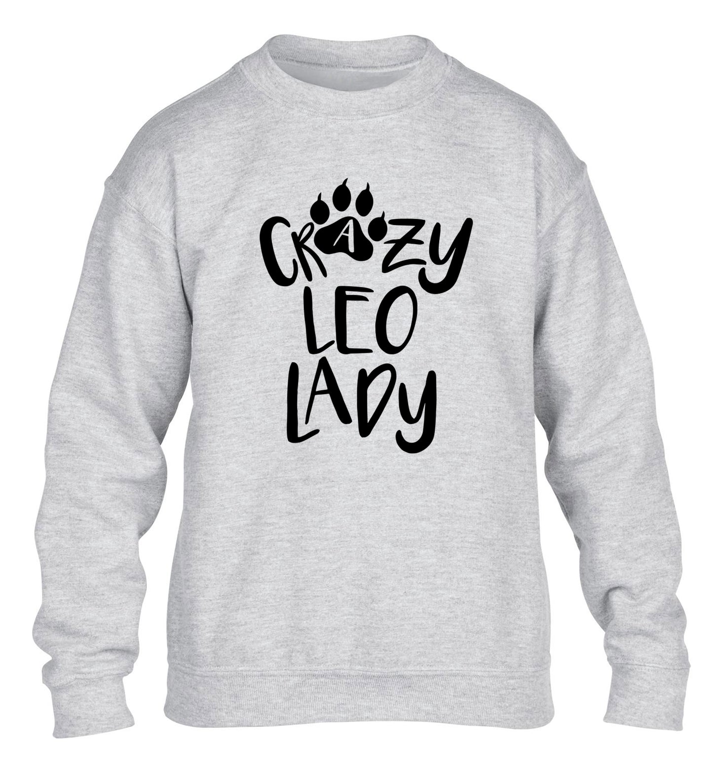 Crazy leo lady children's grey sweater 12-13 Years