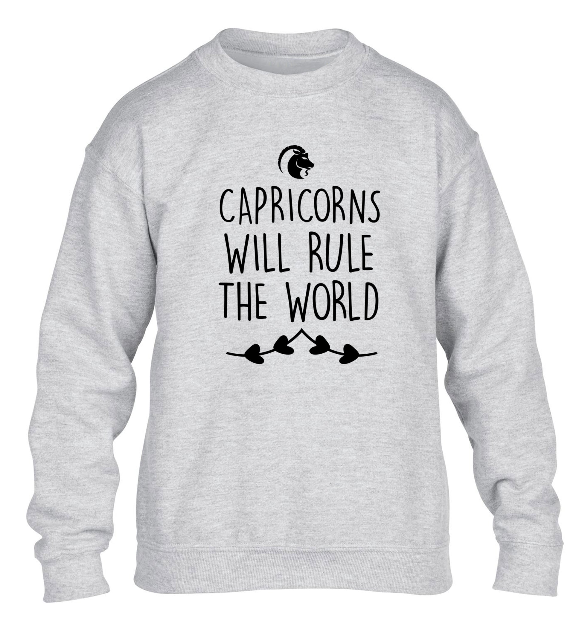 Capricorns will rule the world children's grey sweater 12-13 Years