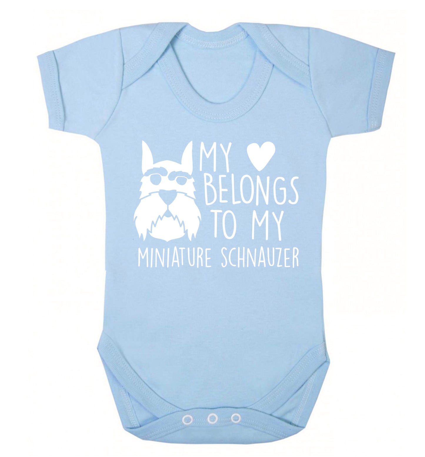 My heart belongs to my miniature schnauzer Baby Vest pale blue 18-24 months