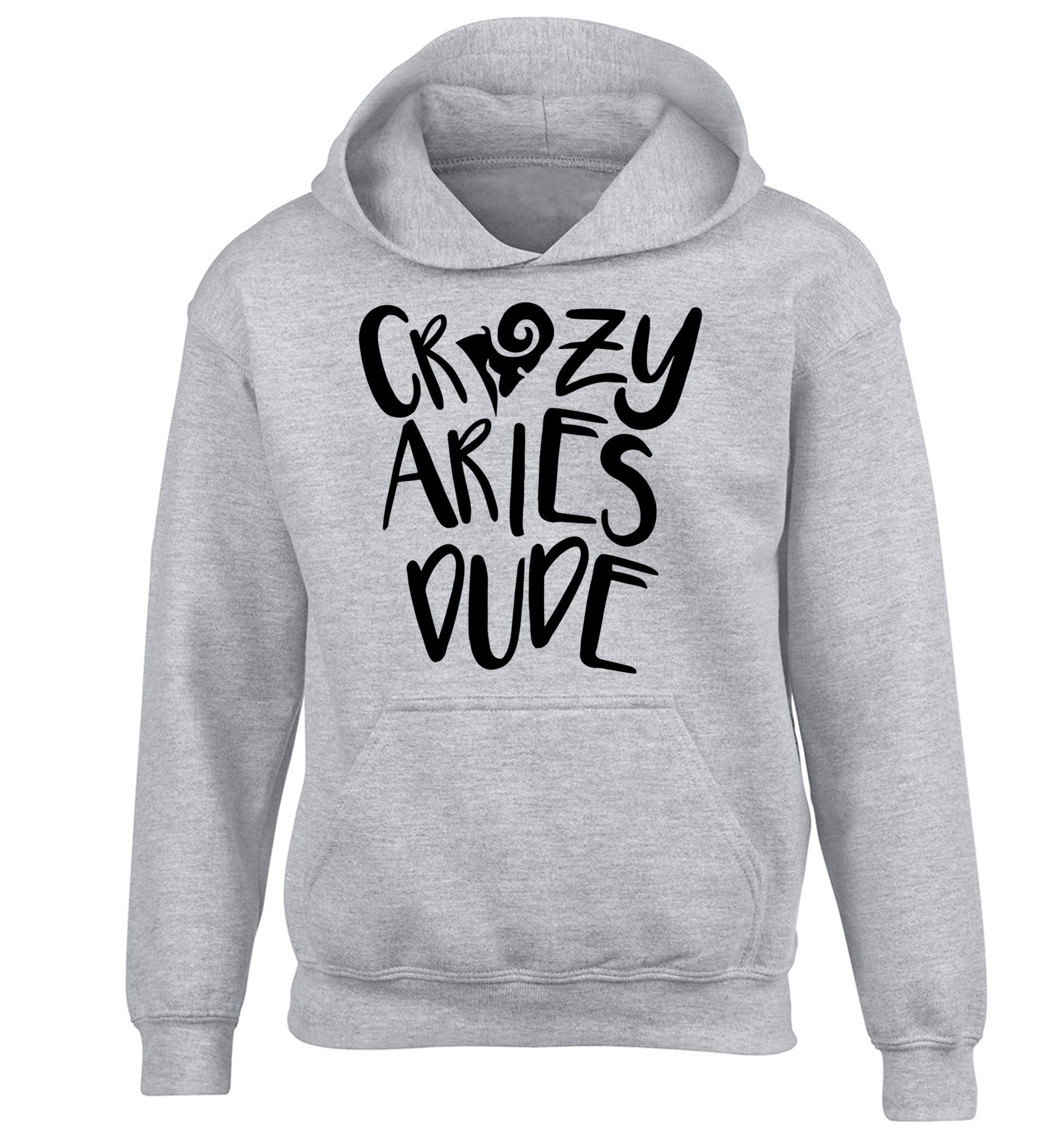 Crazy aries dude children's grey hoodie 12-13 Years