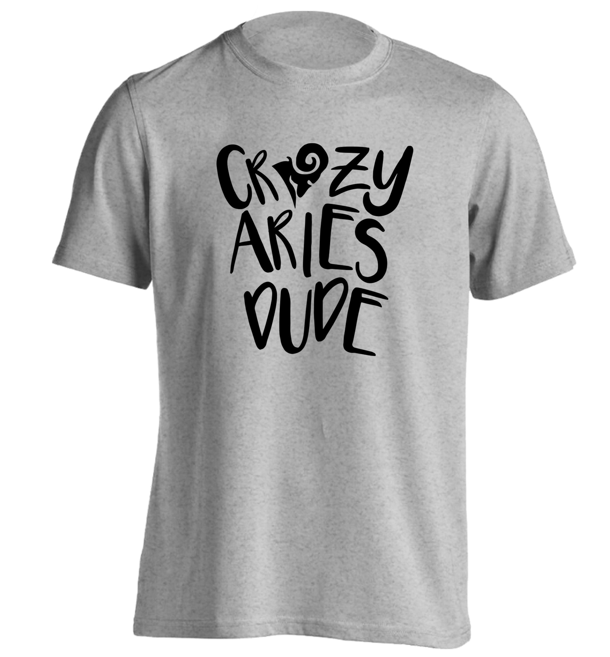 Crazy aries dude adults unisex grey Tshirt 2XL