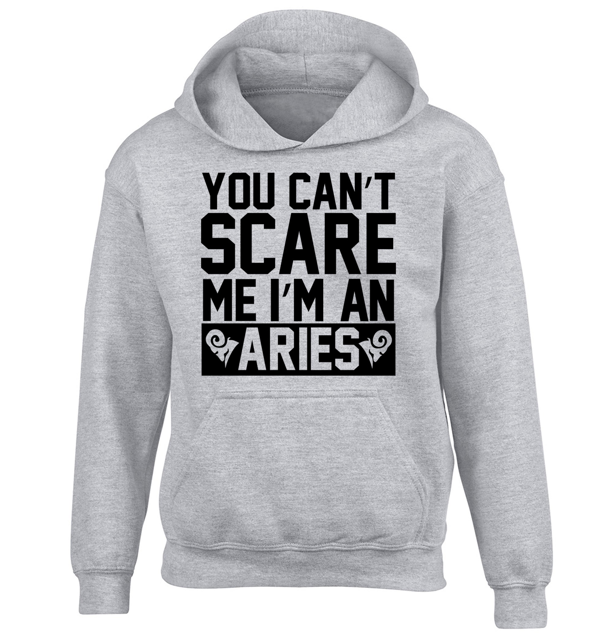 You can't scare me I'm an aries children's grey hoodie 12-13 Years