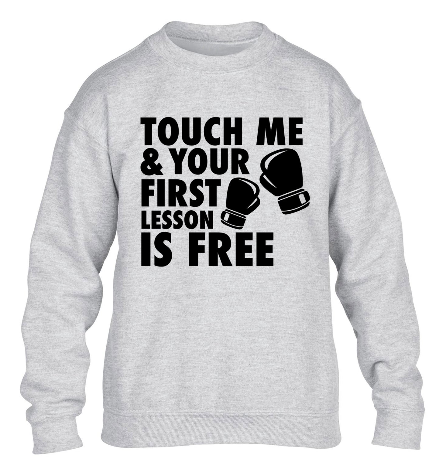 Touch me and your First Lesson is Free  children's grey sweater 12-13 Years