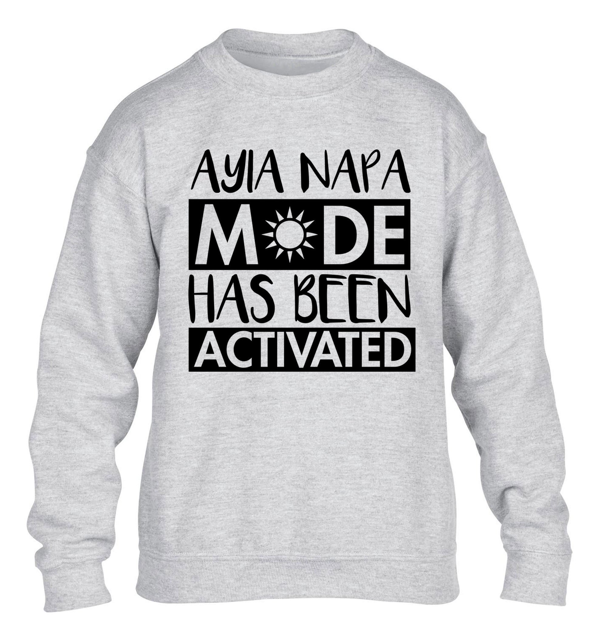 Ayia Napa mode has been activated children's grey sweater 12-13 Years