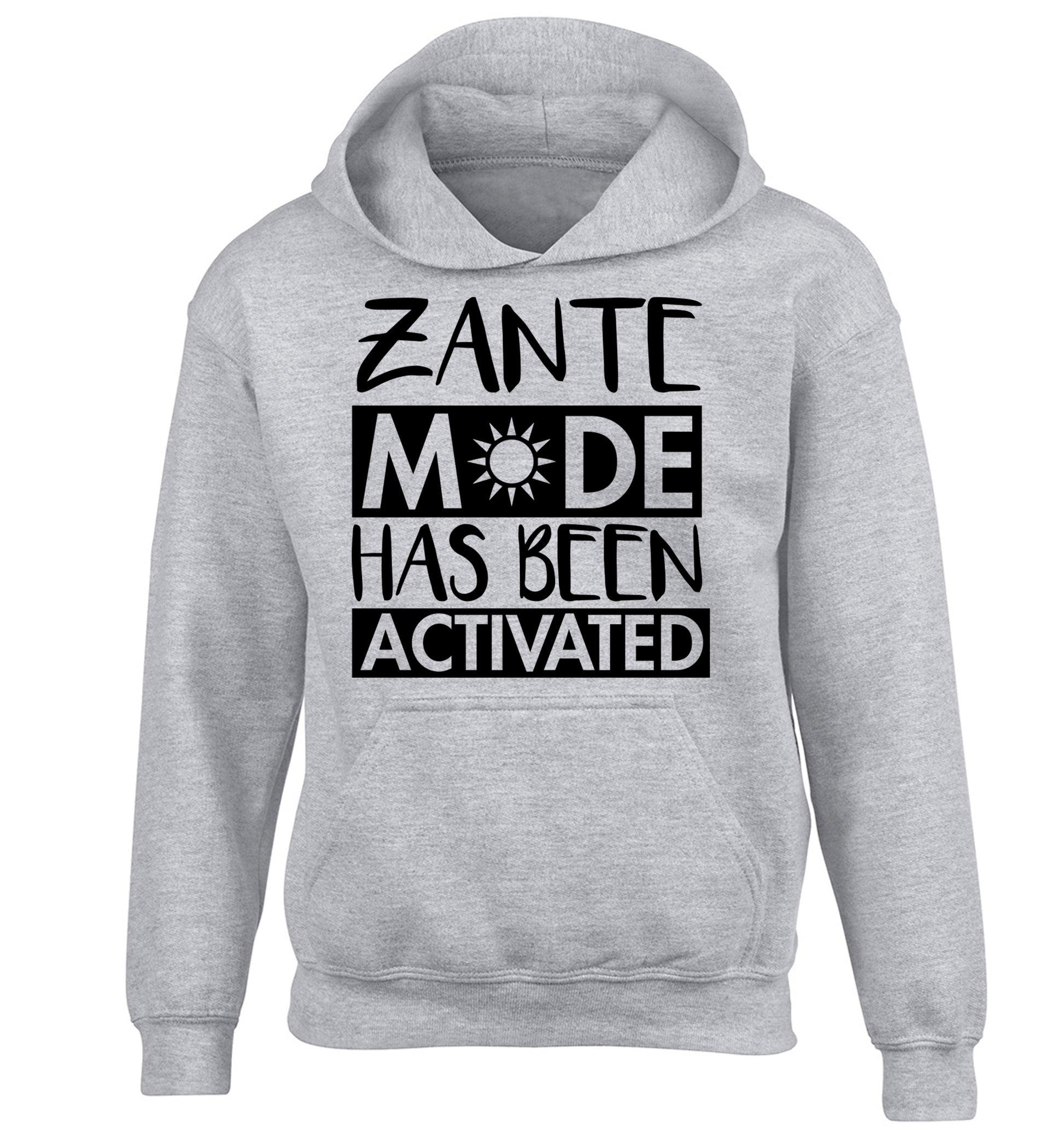 Zante mode has been activated children's grey hoodie 12-13 Years