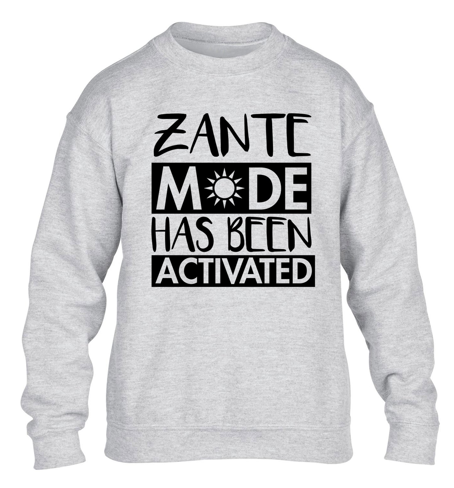 Zante mode has been activated children's grey sweater 12-13 Years