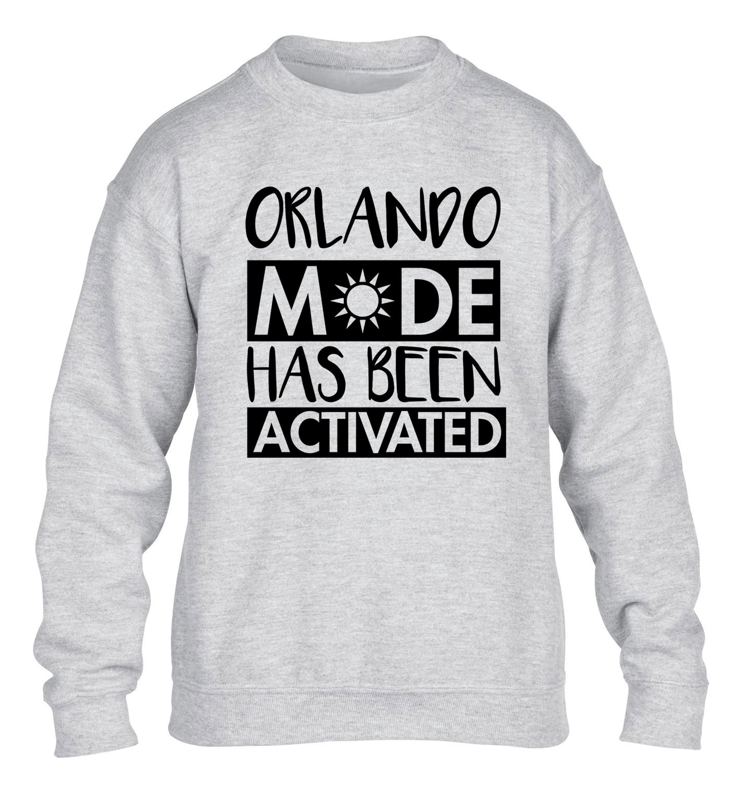 Orlando mode has been activated children's grey sweater 12-13 Years