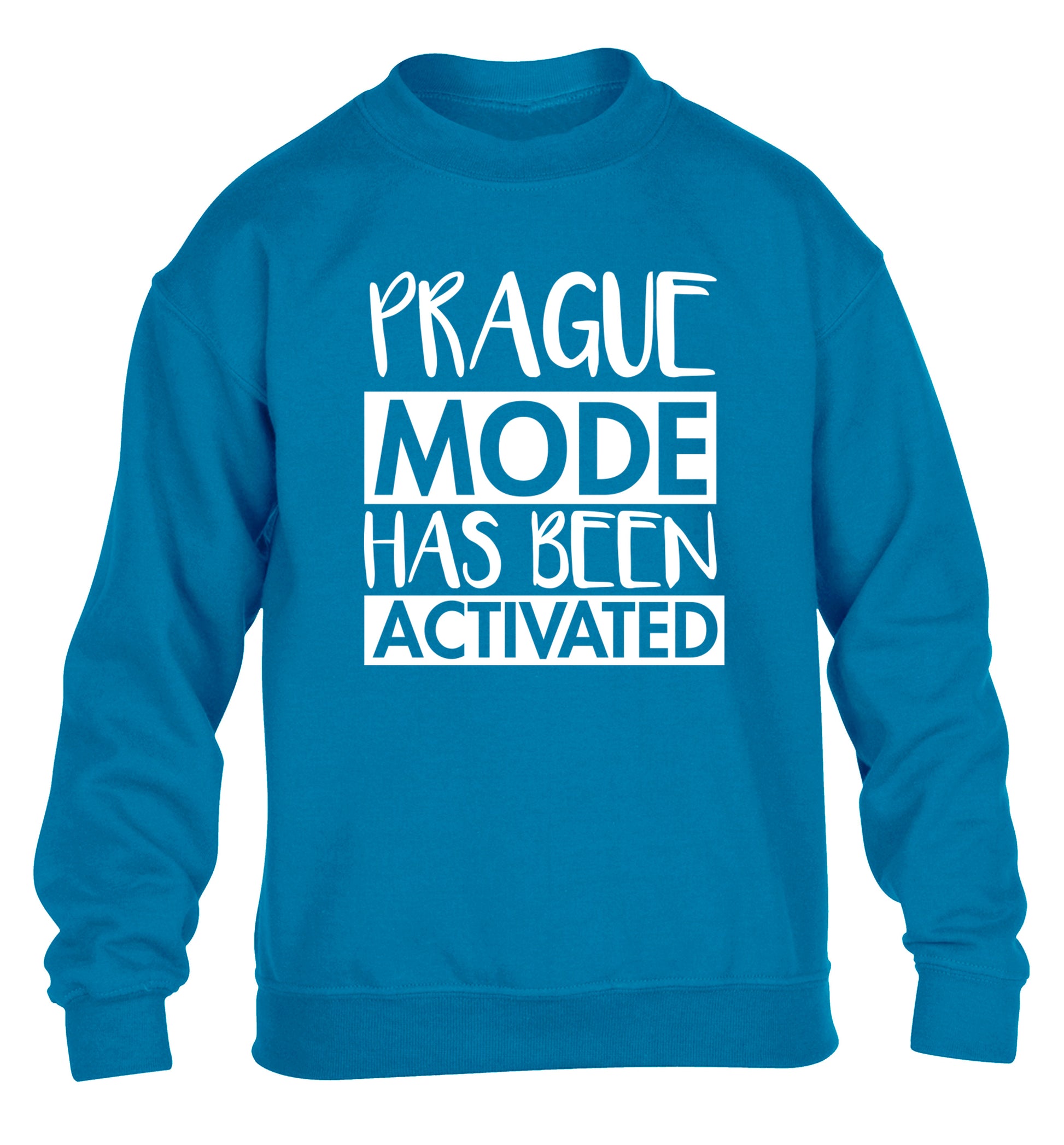 Prague mode has been activated children's blue sweater 12-13 Years