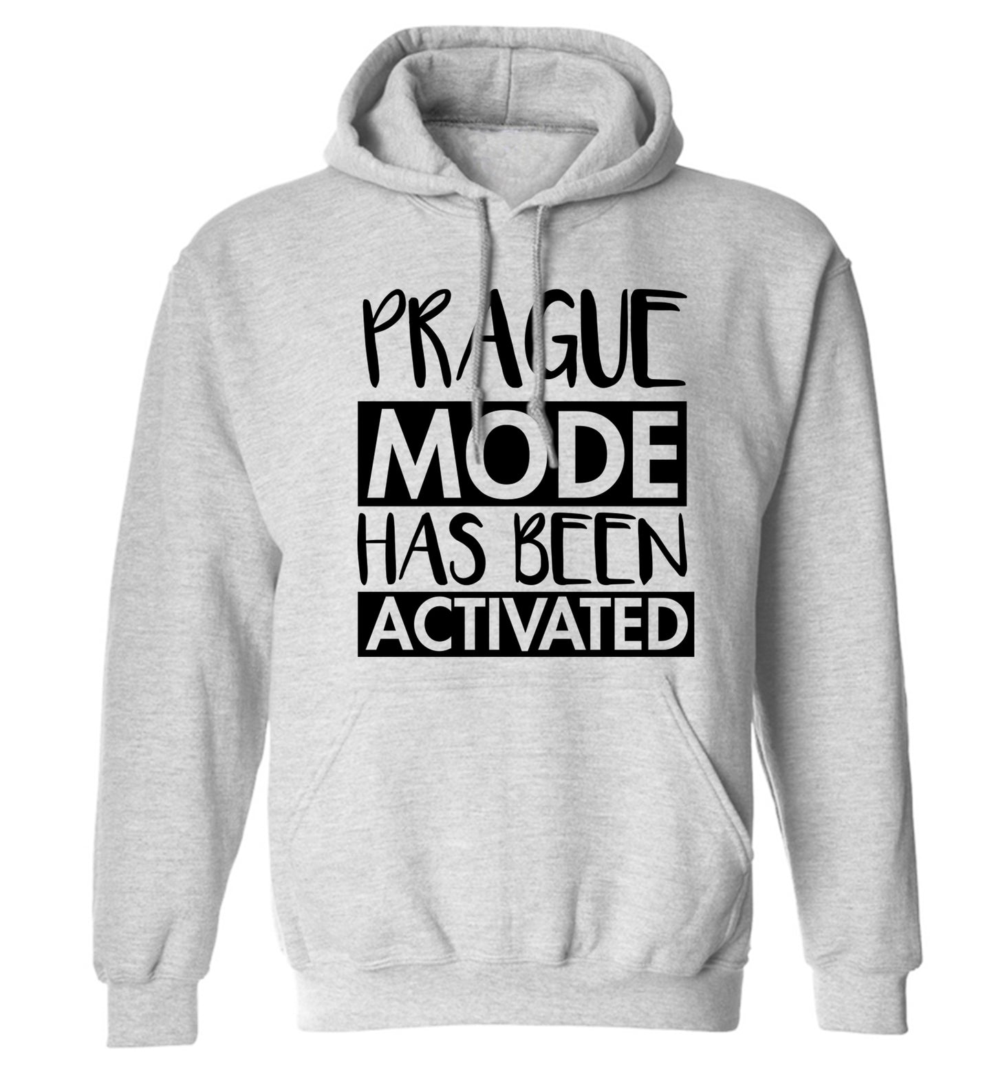 Prague mode has been activated adults unisex grey hoodie 2XL