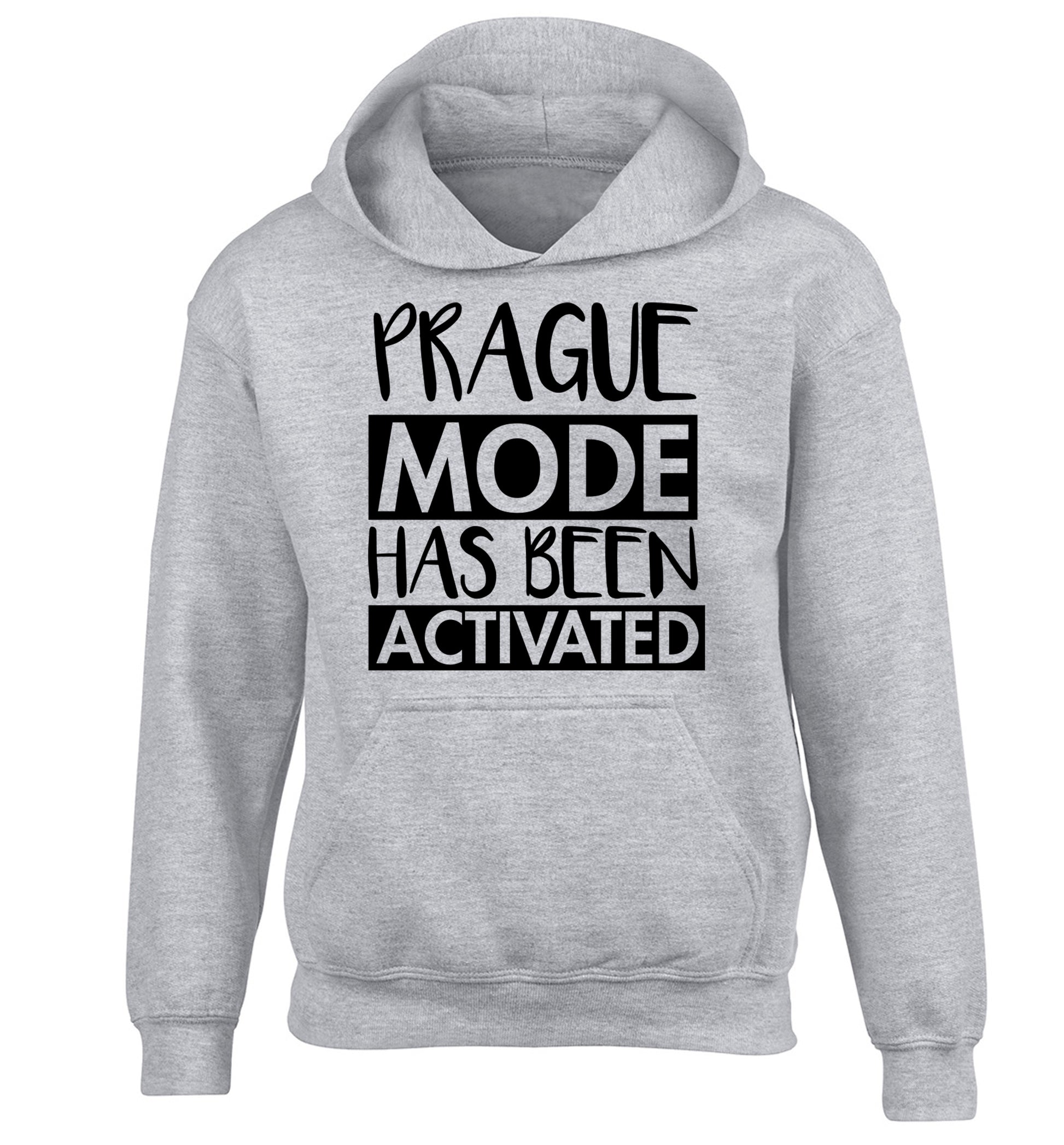 Prague mode has been activated children's grey hoodie 12-13 Years