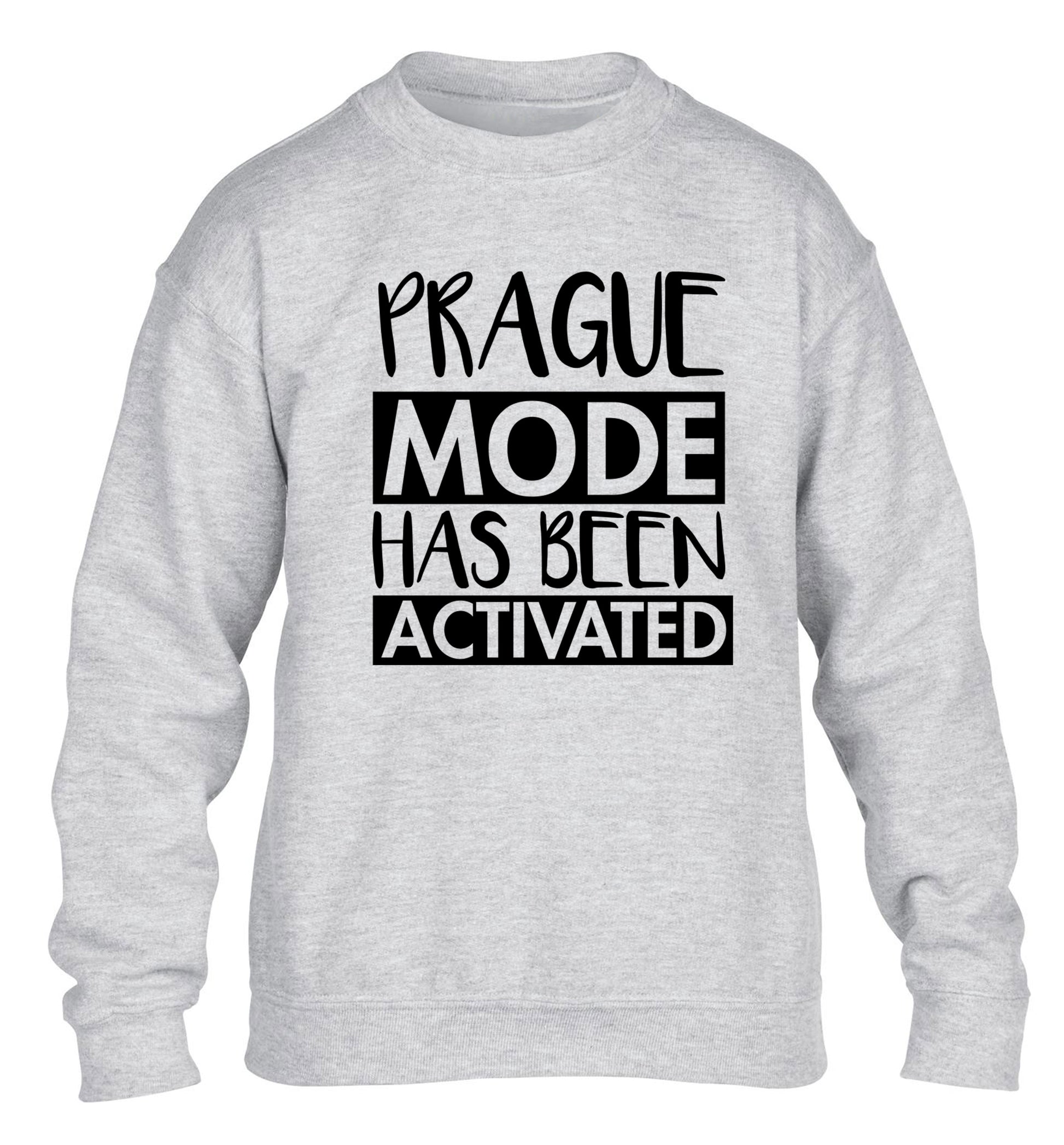 Prague mode has been activated children's grey sweater 12-13 Years