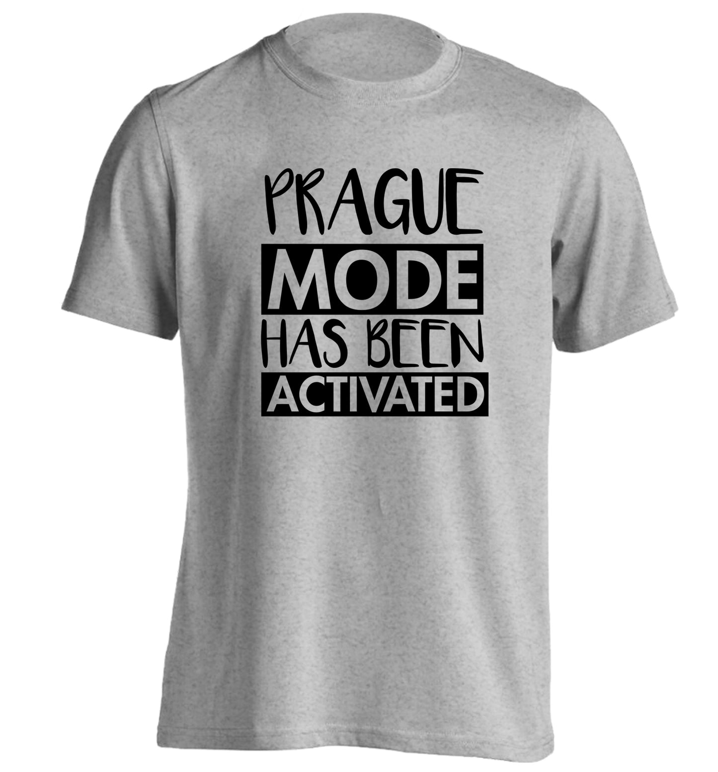 Prague mode has been activated adults unisex grey Tshirt 2XL