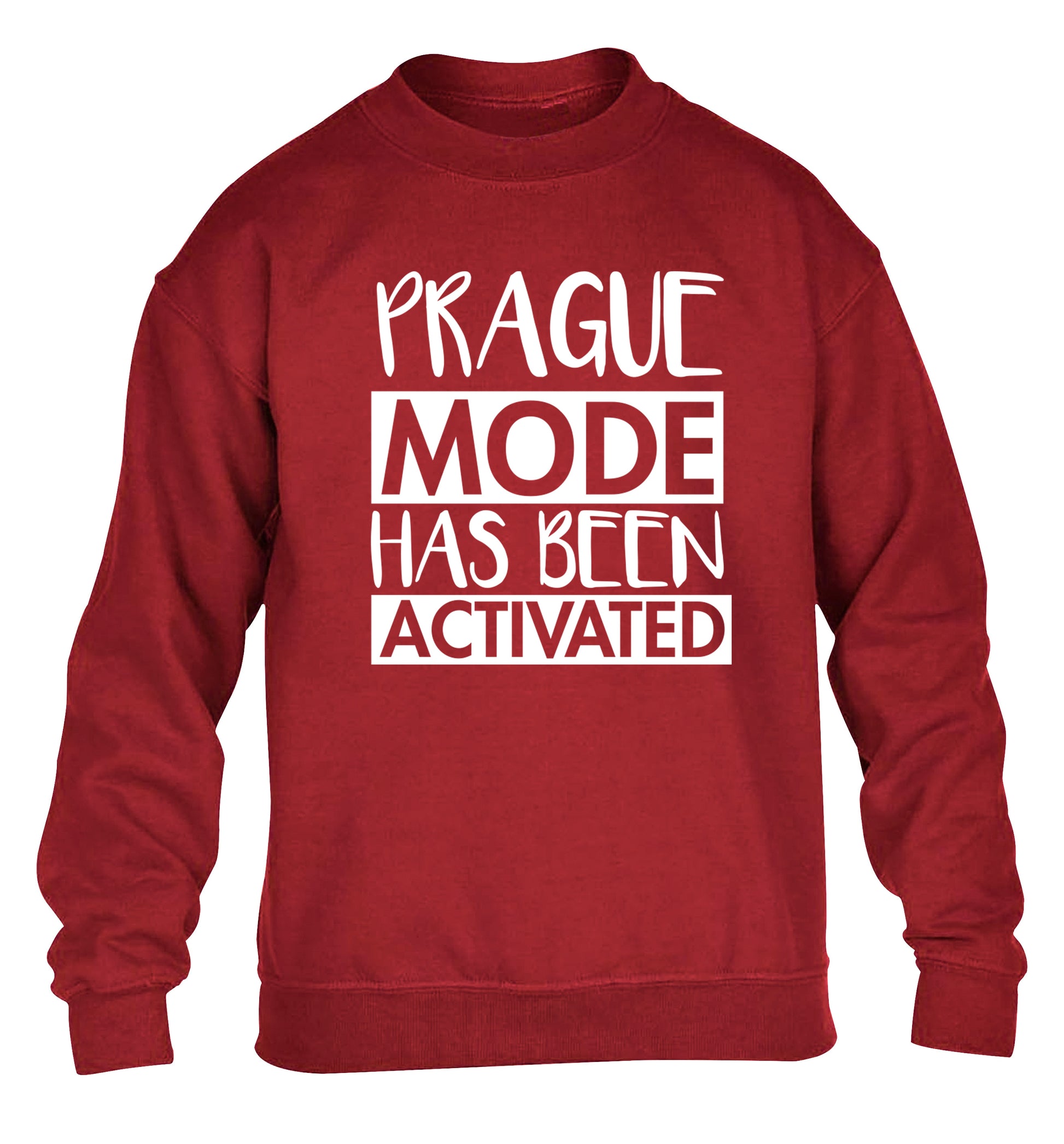 Prague mode has been activated children's grey sweater 12-13 Years