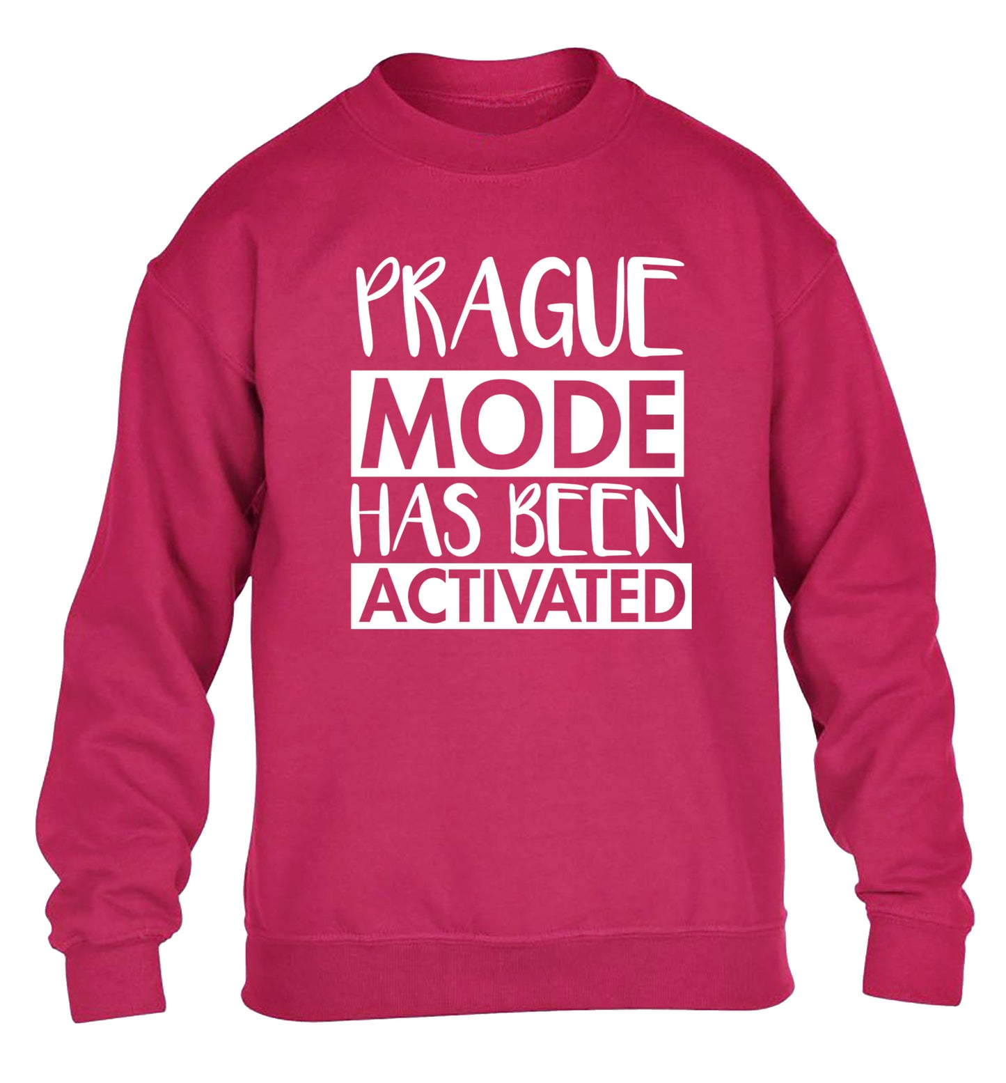 Prague mode has been activated children's pink sweater 12-13 Years