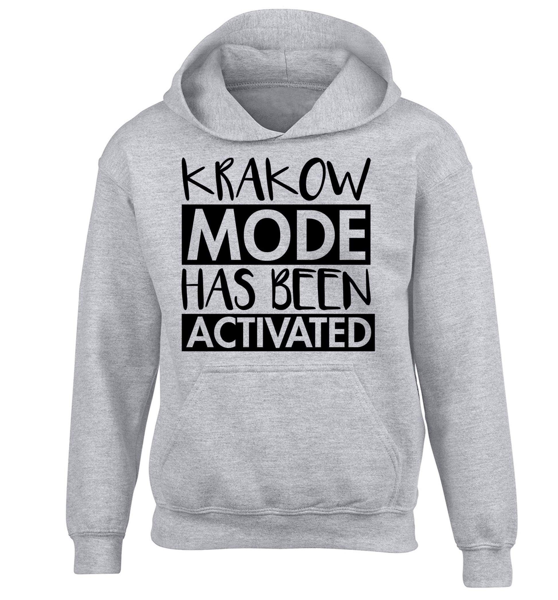 Krakow mode has been activated children's grey hoodie 12-13 Years