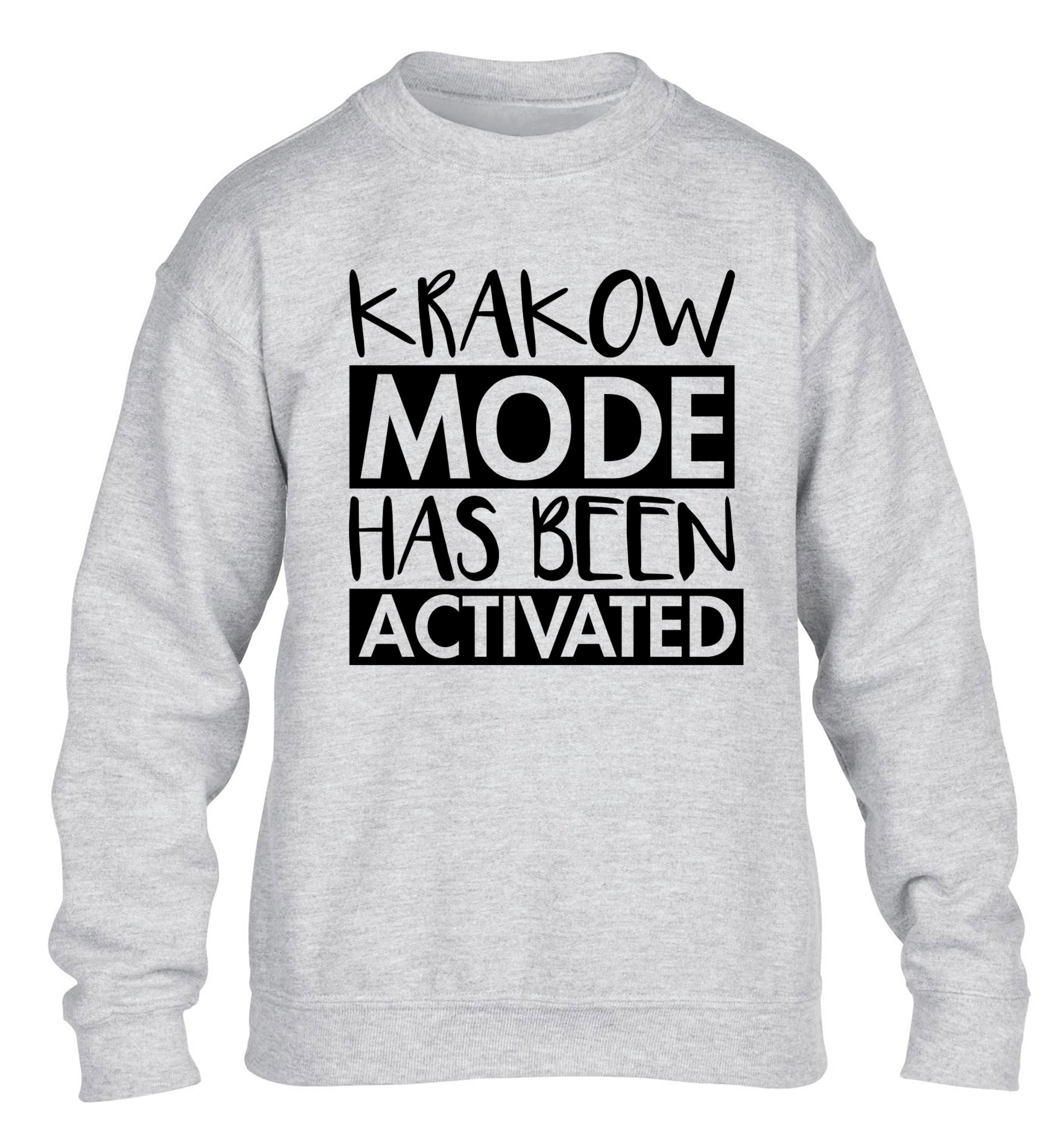 Krakow mode has been activated children's grey sweater 12-13 Years
