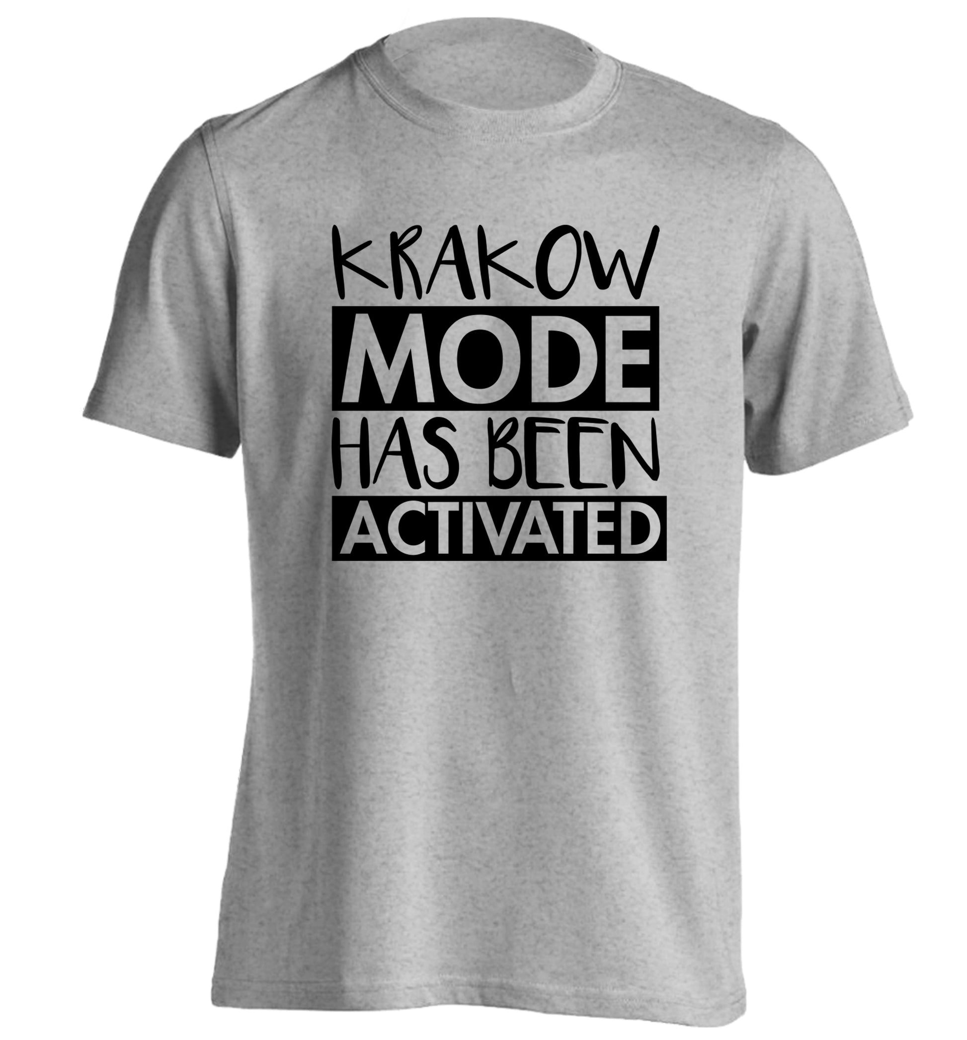 Krakow mode has been activated adults unisex grey Tshirt 2XL
