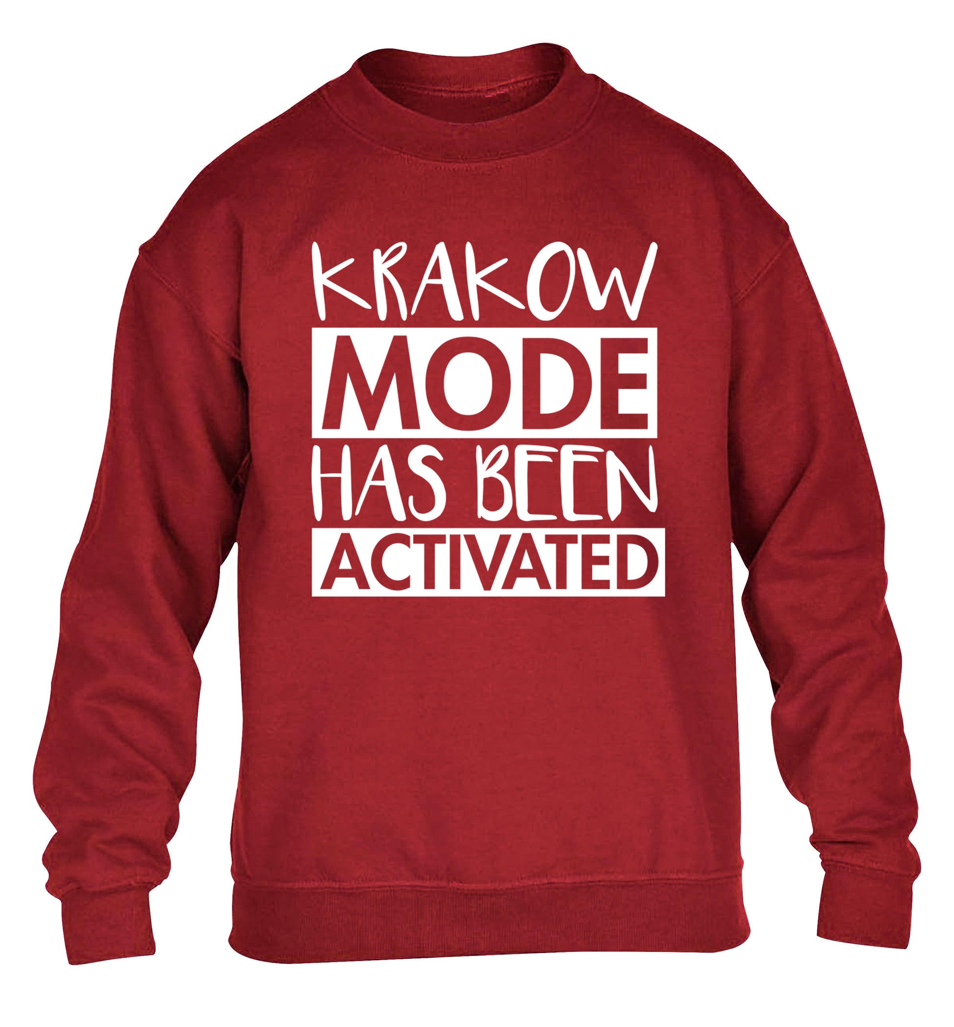 Krakow mode has been activated children's grey sweater 12-13 Years