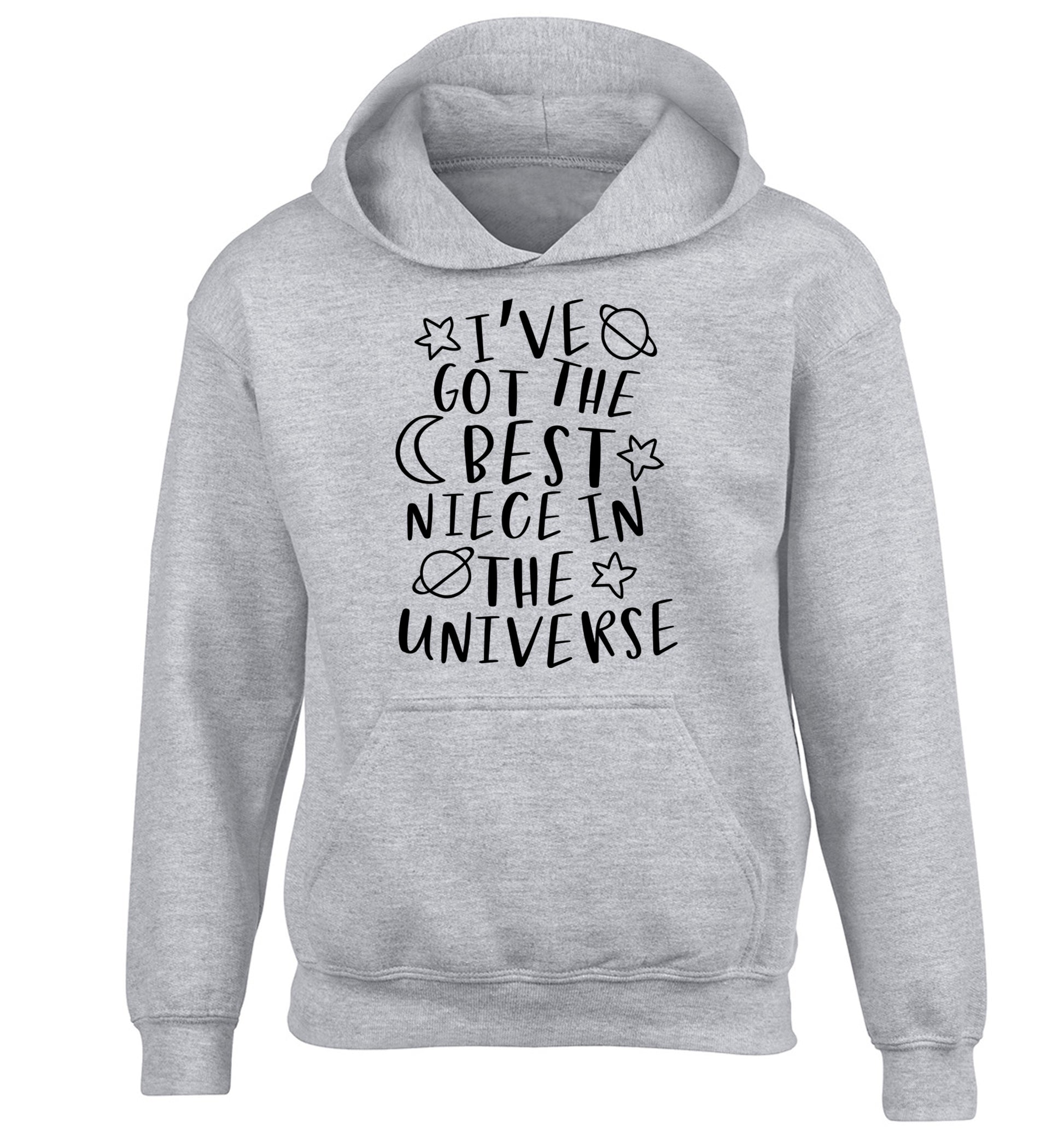 I've got the best niece in the universe children's grey hoodie 12-13 Years