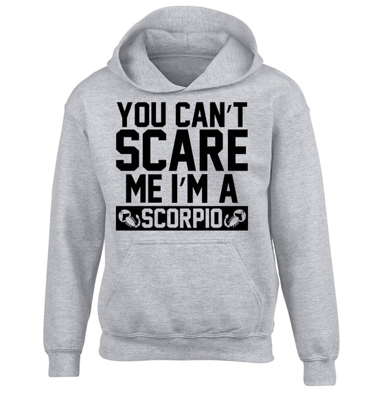 You can't scare me I'm a scorpio children's grey hoodie 12-13 Years
