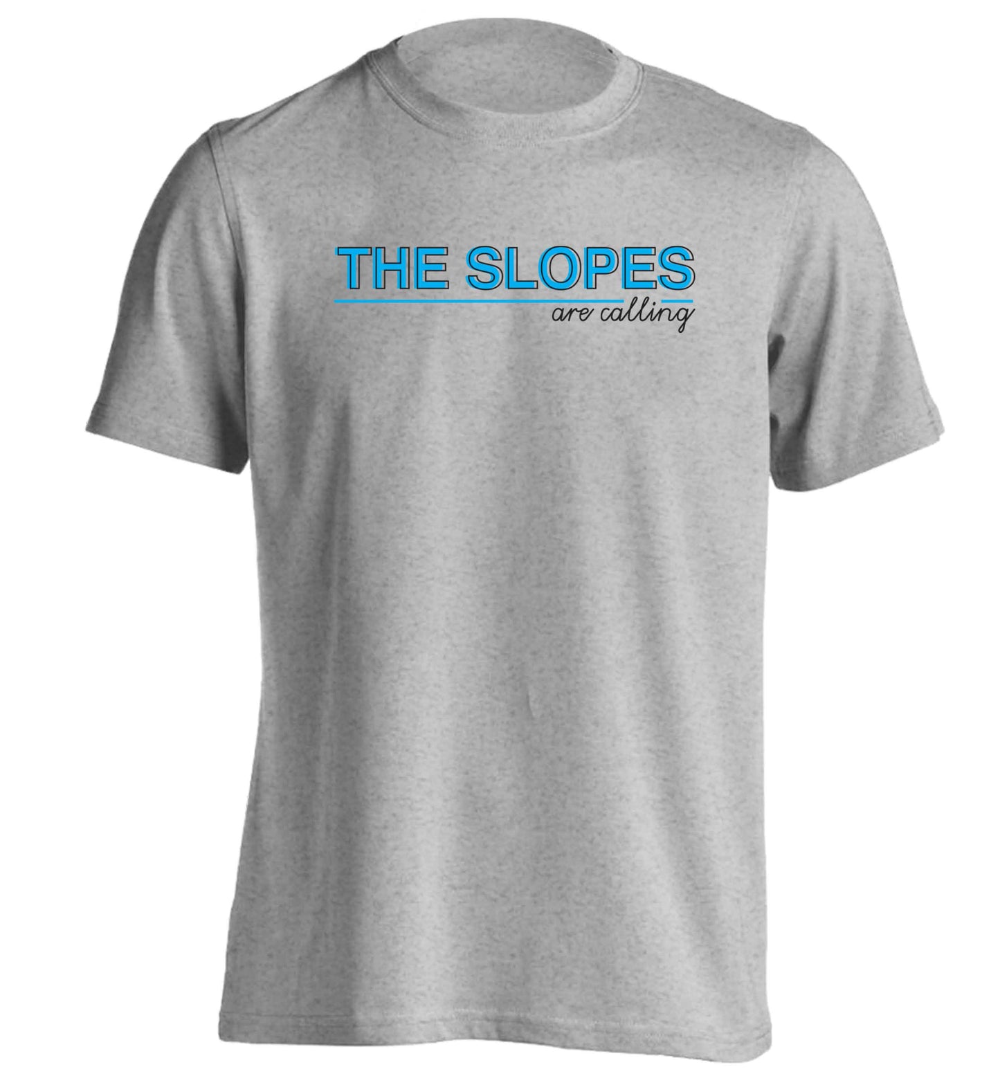 The slopes are calling adults unisex grey Tshirt 2XL