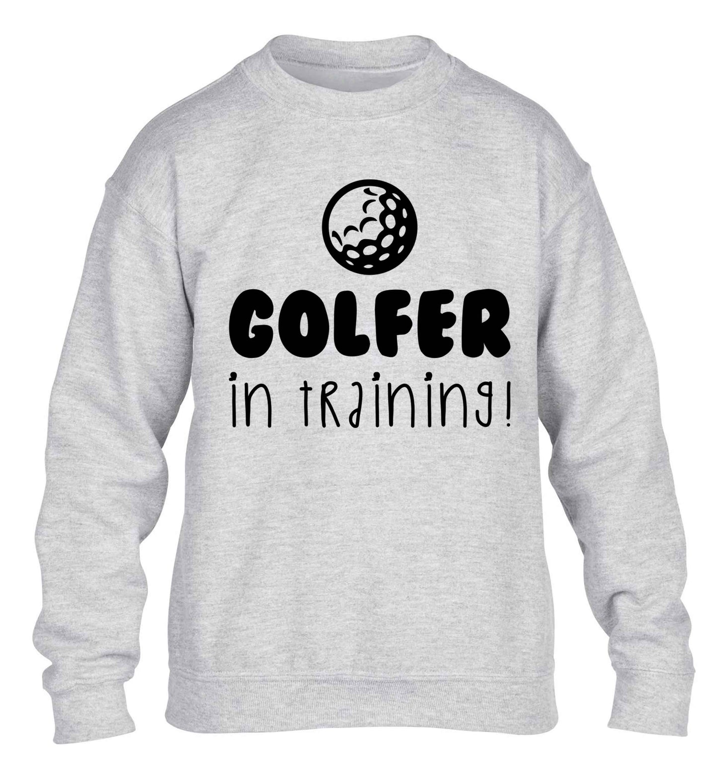Golfer in training children's grey sweater 12-13 Years