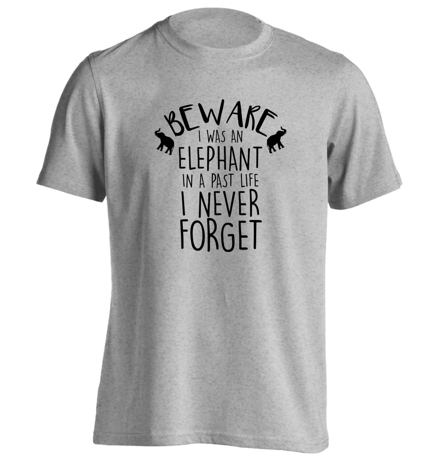 Beware I was an elephant in my past life I never forget adults unisex grey Tshirt 2XL