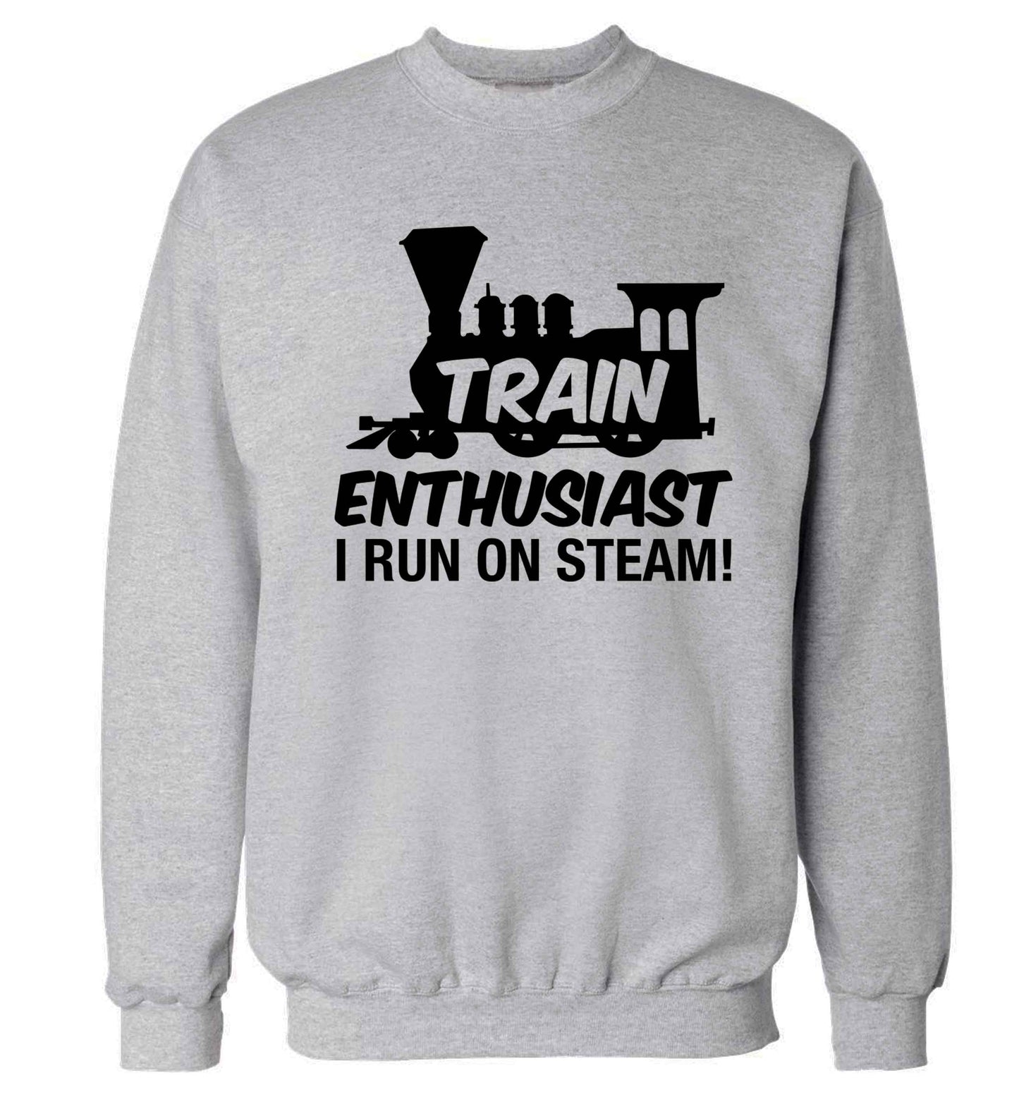 Train enthusiast I run on steam Adult's unisex grey Sweater 2XL