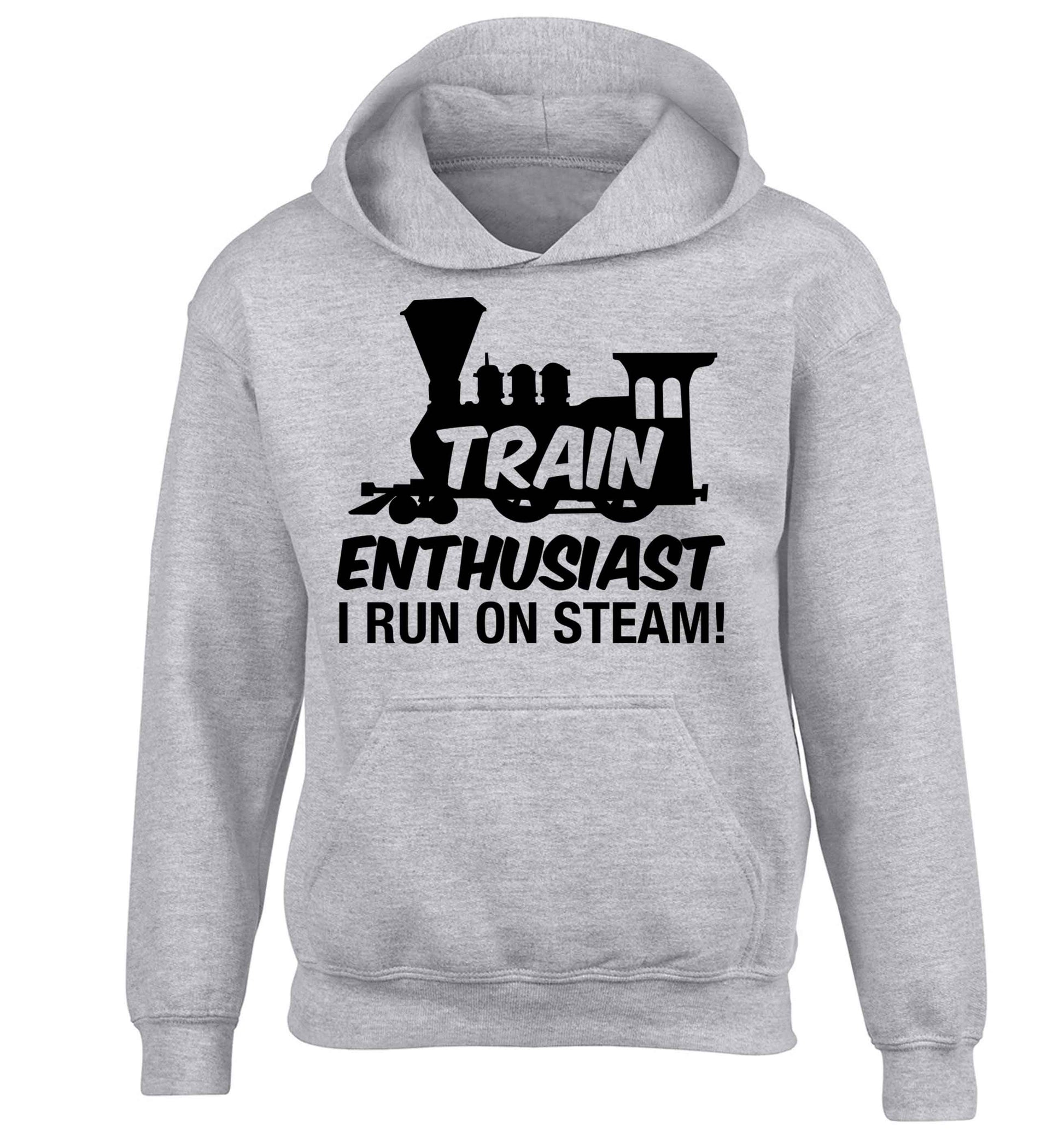 Train enthusiast I run on steam children's grey hoodie 12-13 Years