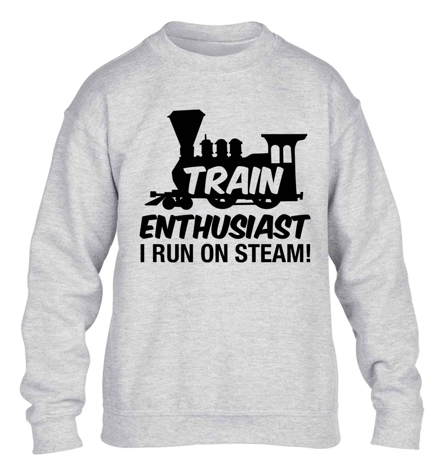 Train enthusiast I run on steam children's grey sweater 12-13 Years