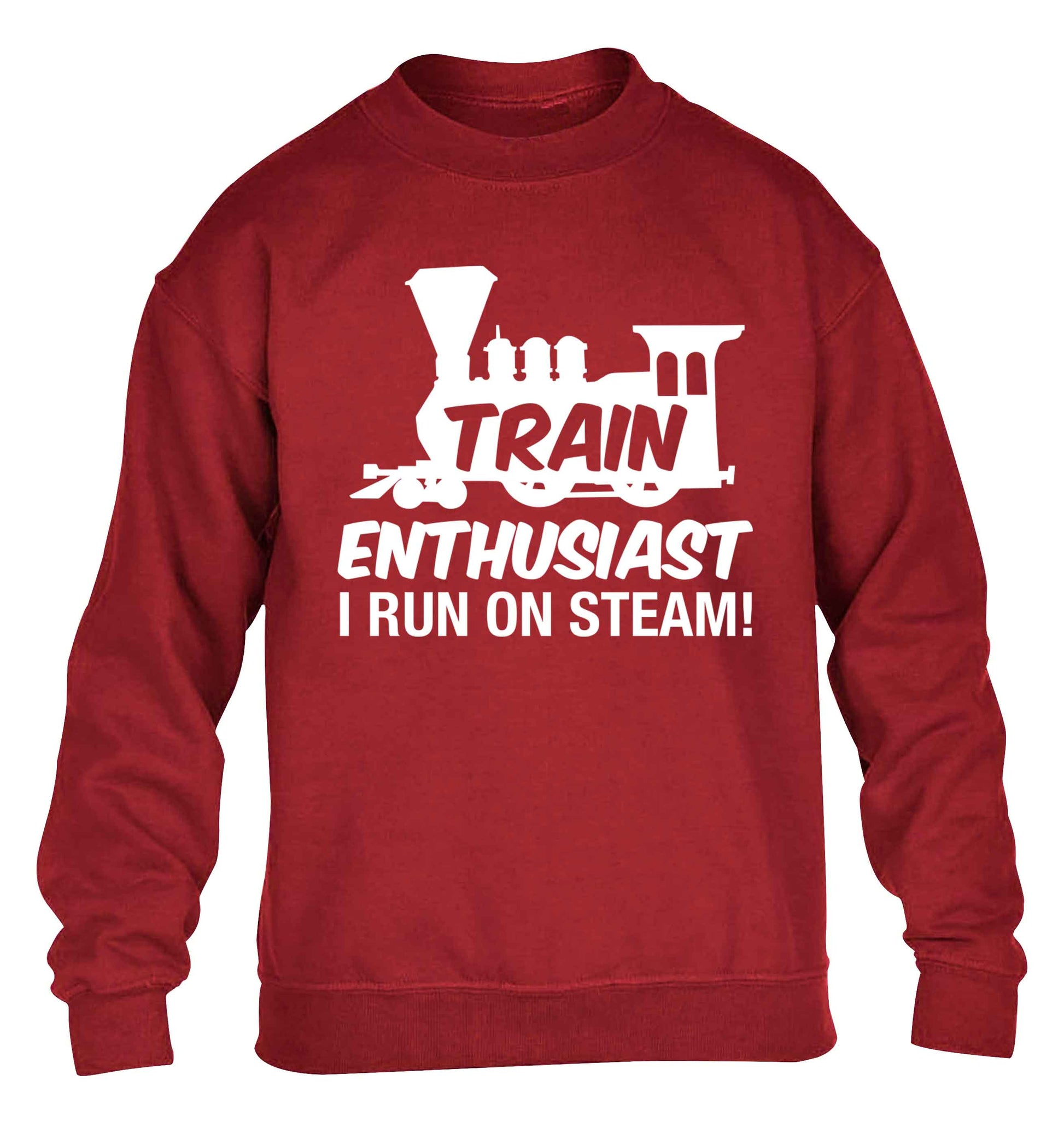 Train enthusiast I run on steam children's grey sweater 12-13 Years