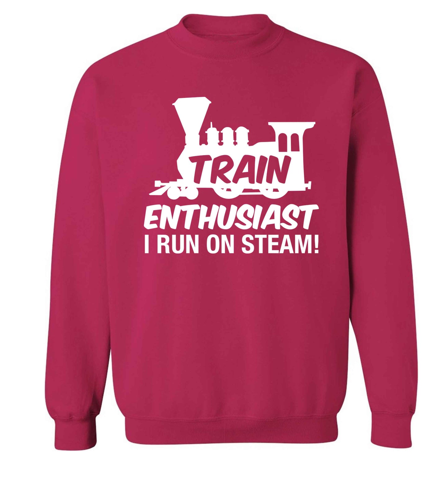 Train enthusiast I run on steam Adult's unisex pink Sweater 2XL
