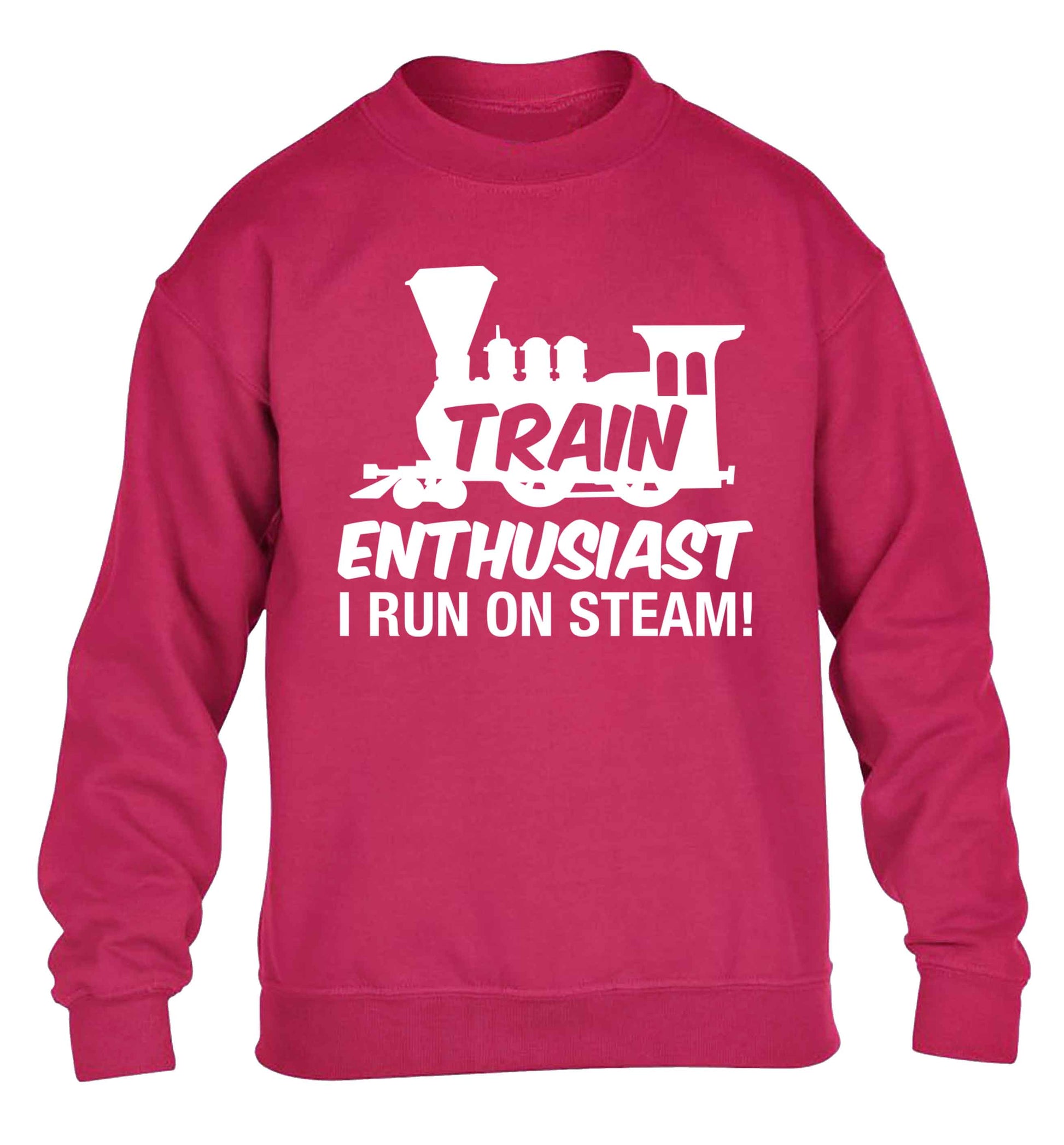 Train enthusiast I run on steam children's pink sweater 12-13 Years