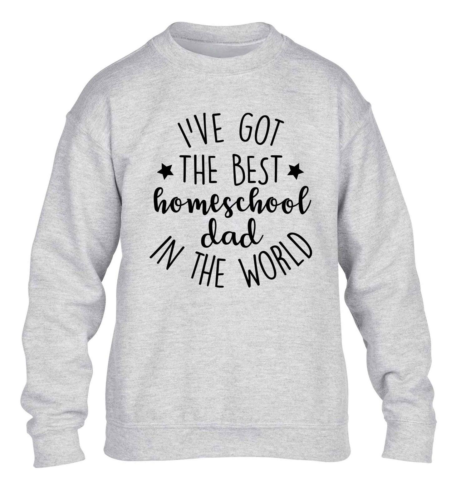 I've got the best homeschool dad in the world children's grey sweater 12-13 Years