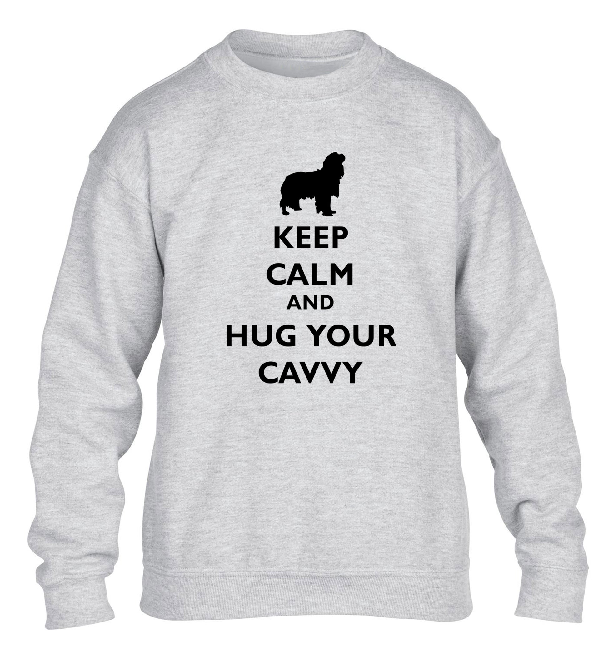 Keep calm and hug your cavvy children's grey sweater 12-13 Years