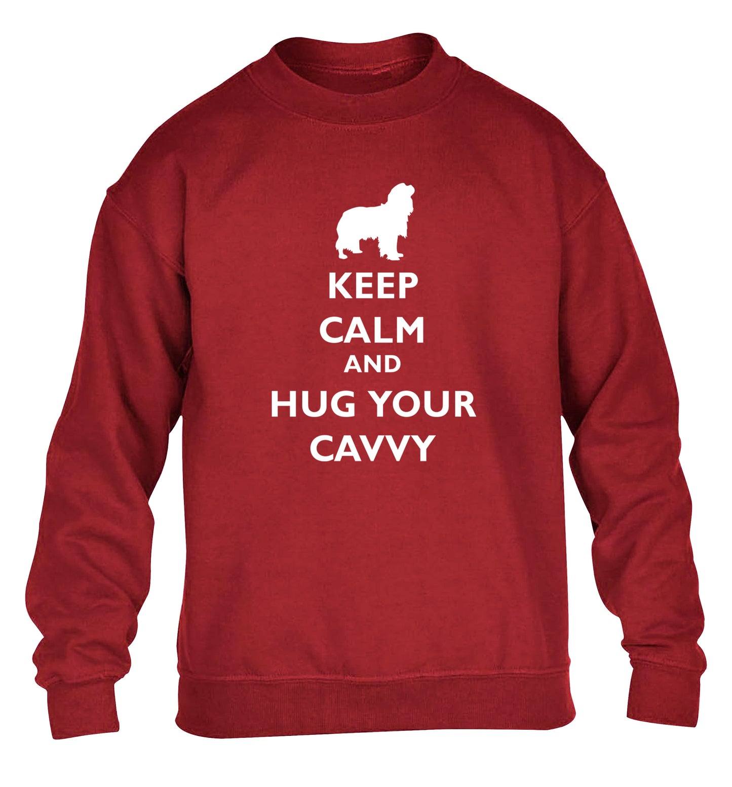 Keep calm and hug your cavvy children's grey sweater 12-13 Years