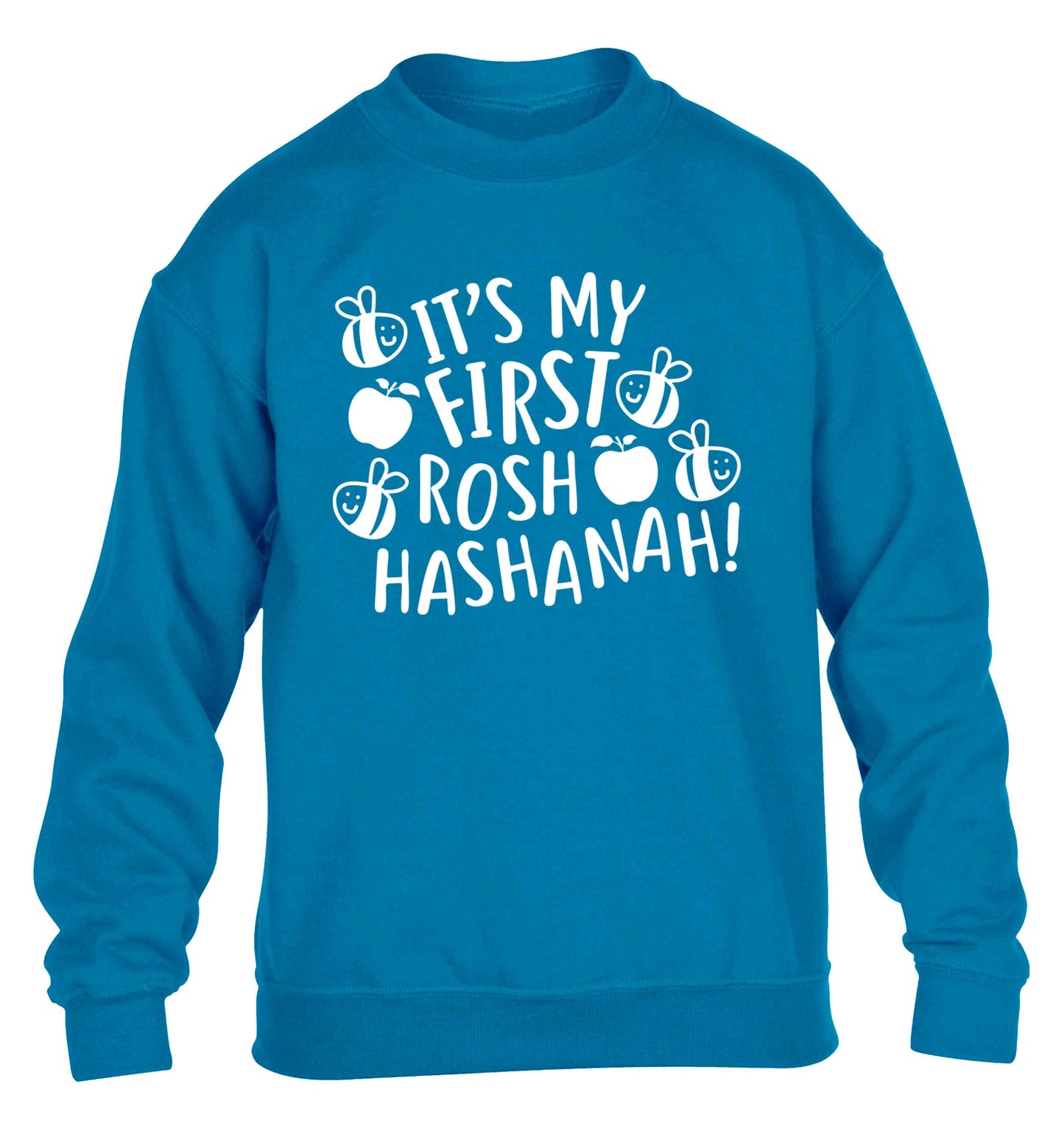 Its my first rosh hashanah children's blue sweater 12-13 Years