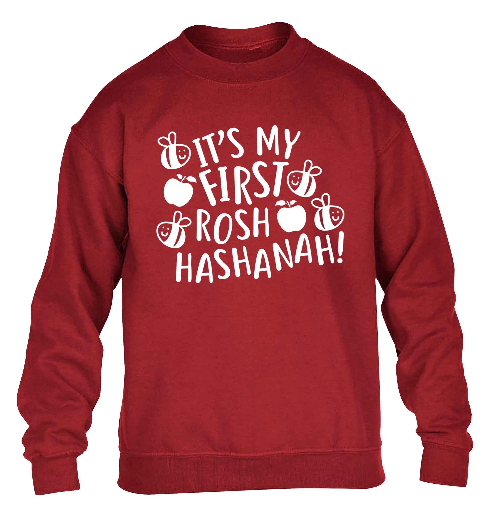 Its my first rosh hashanah children's grey sweater 12-13 Years