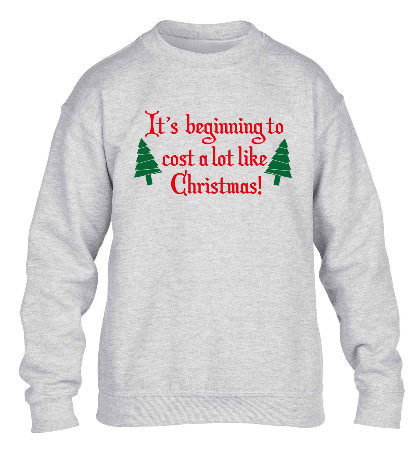 It's beginning to cost a lot like Christmas children's grey sweater 12-13 Years