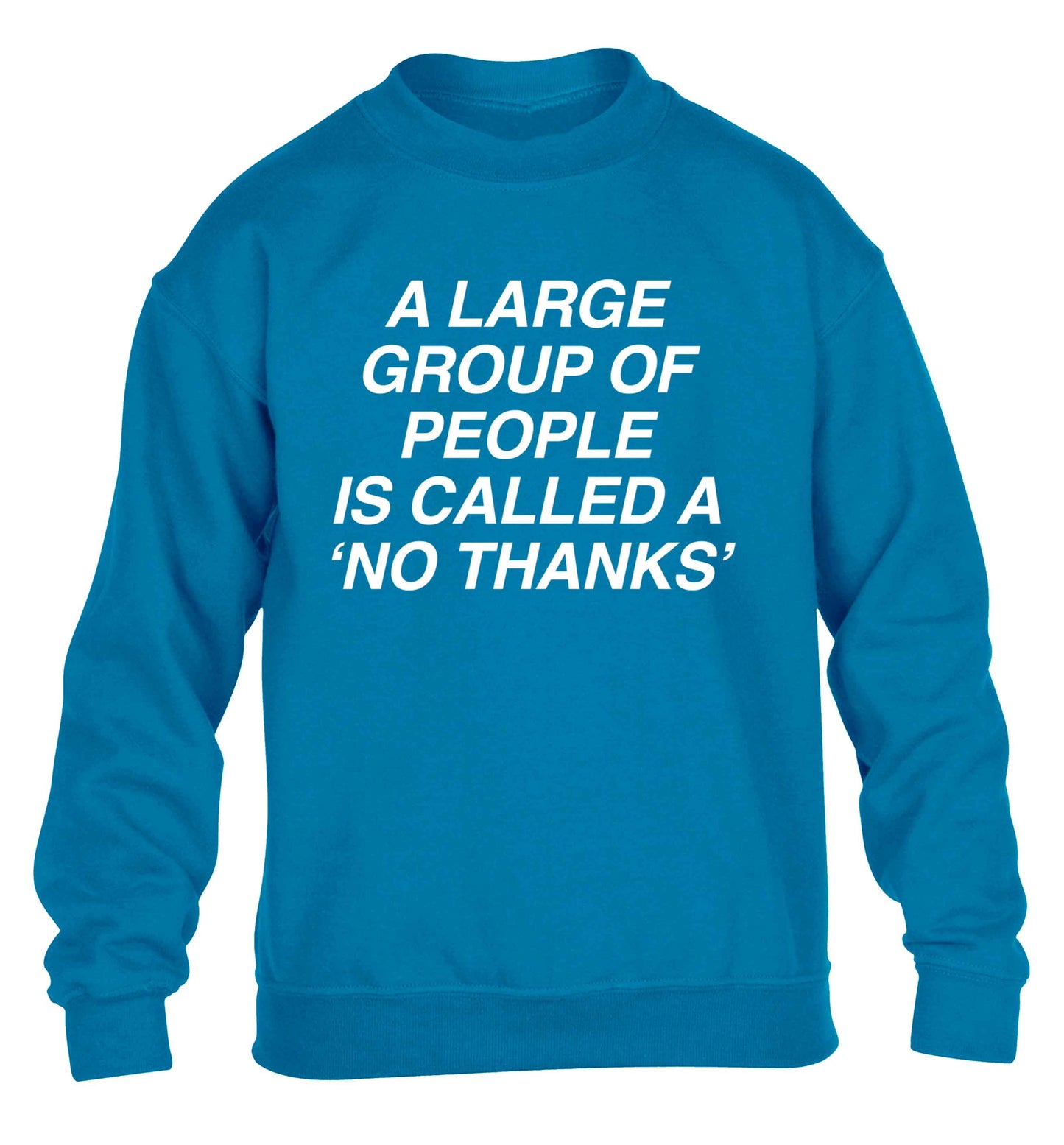 A group of people is called a 'no thanks' children's blue sweater 12-13 Years