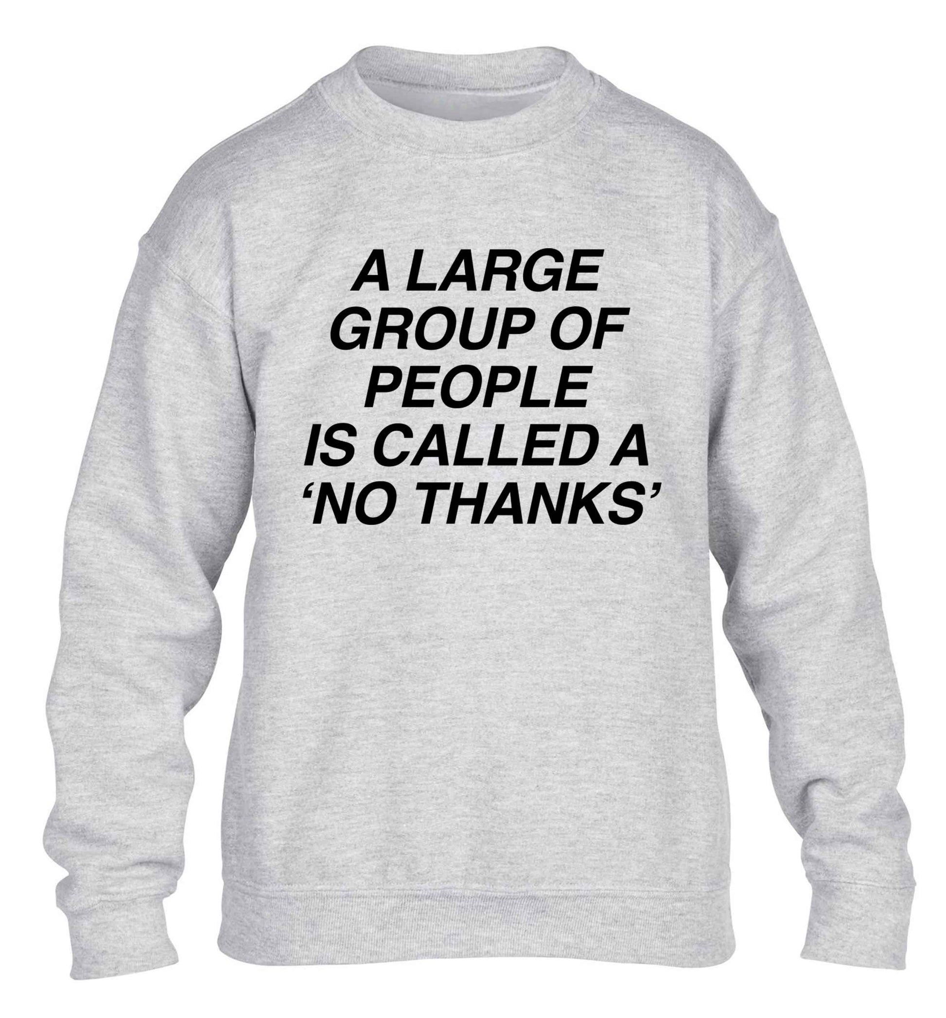 A group of people is called a 'no thanks' children's grey sweater 12-13 Years