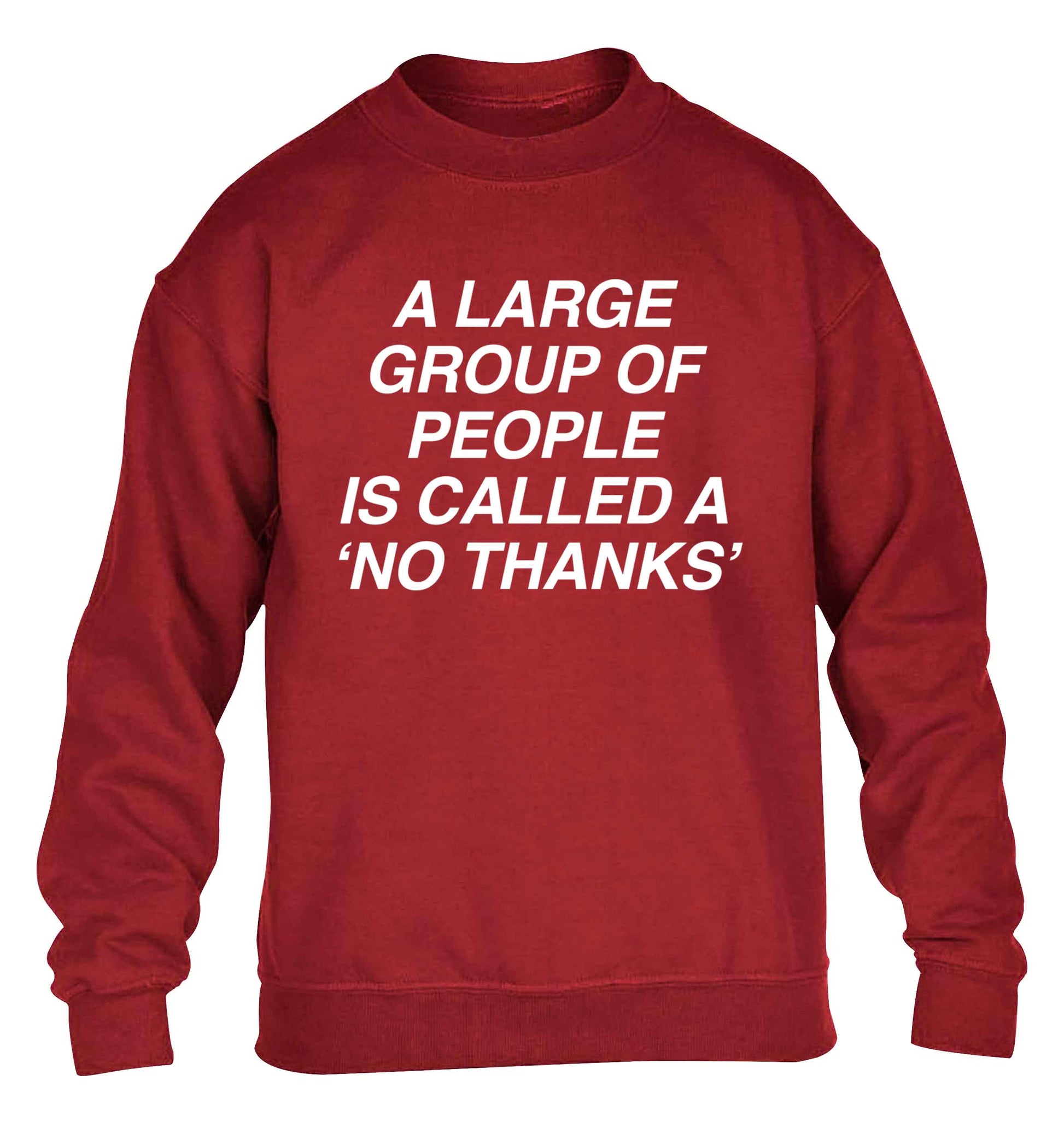 A group of people is called a 'no thanks' children's grey sweater 12-13 Years