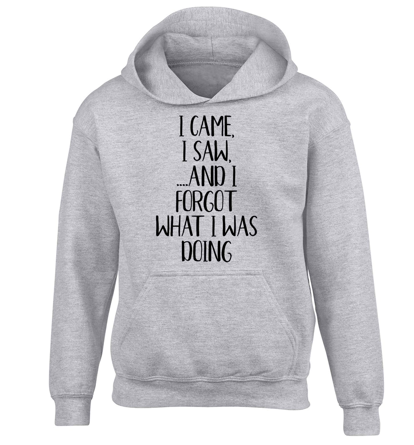 I came, I saw and I forgot what I was doing children's grey hoodie 12-13 Years