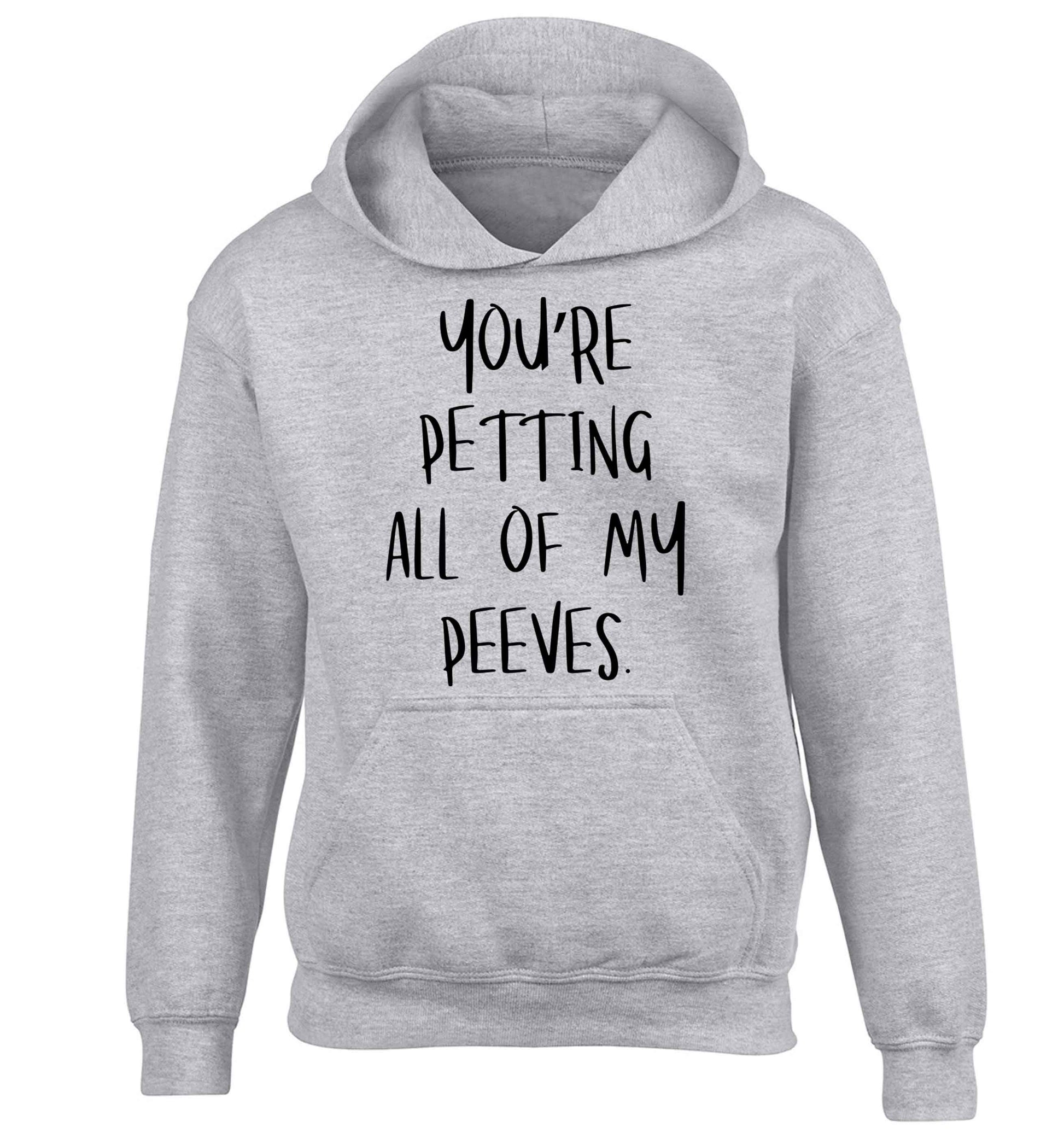 You're petting all of my peeves children's grey hoodie 12-13 Years