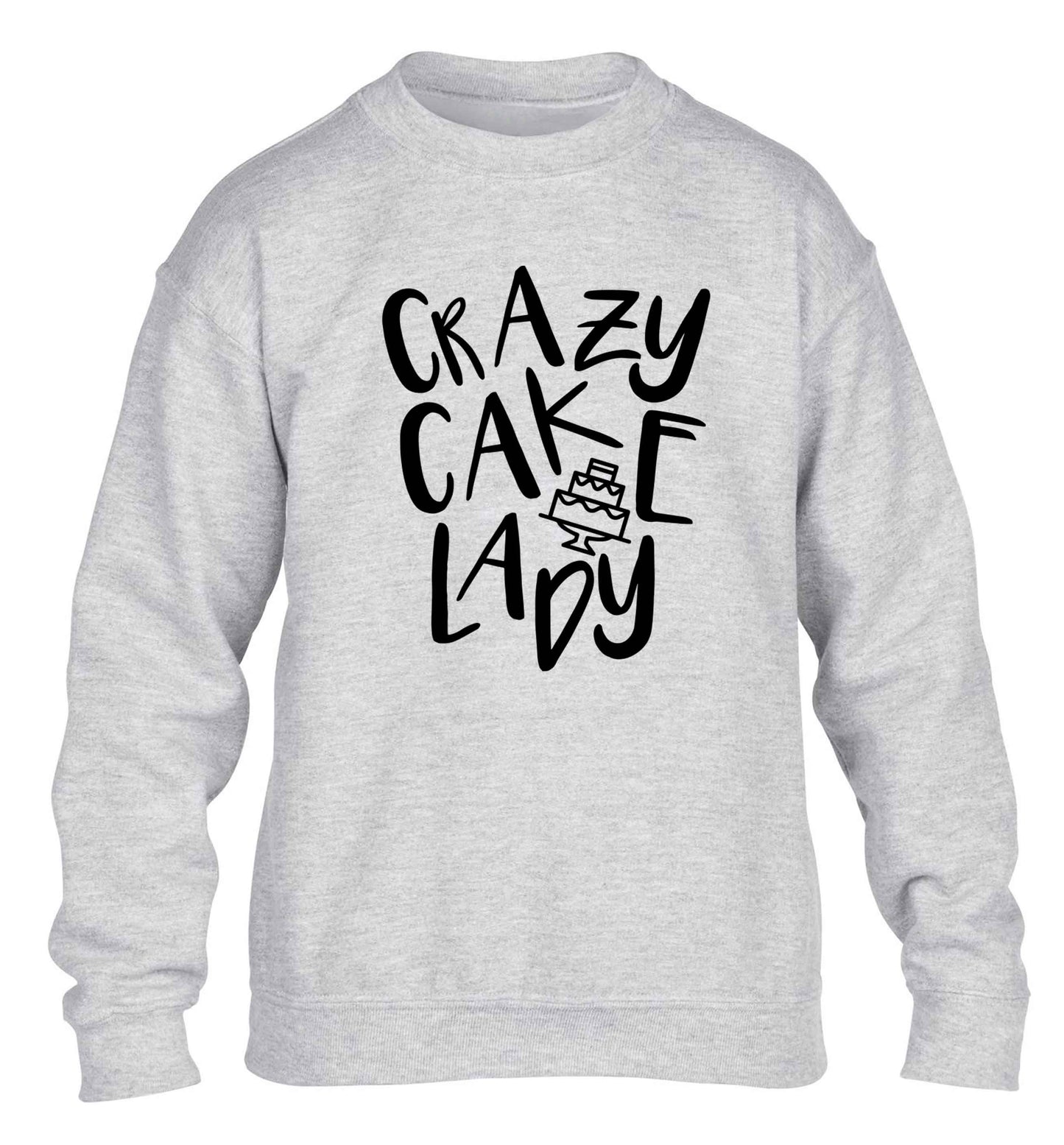 Crazy cake lady children's grey sweater 12-13 Years