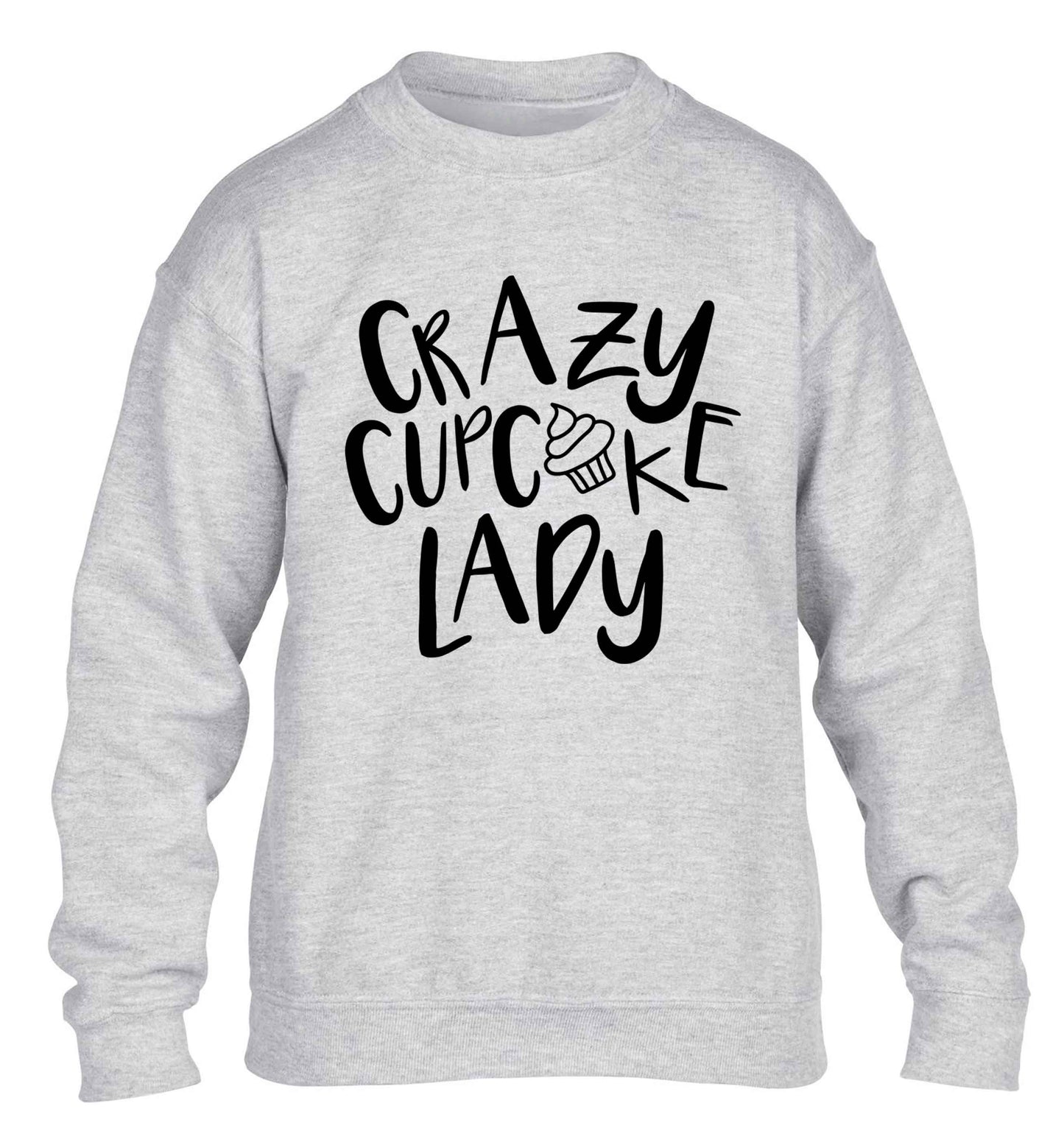 Crazy cupcake lady children's grey sweater 12-13 Years