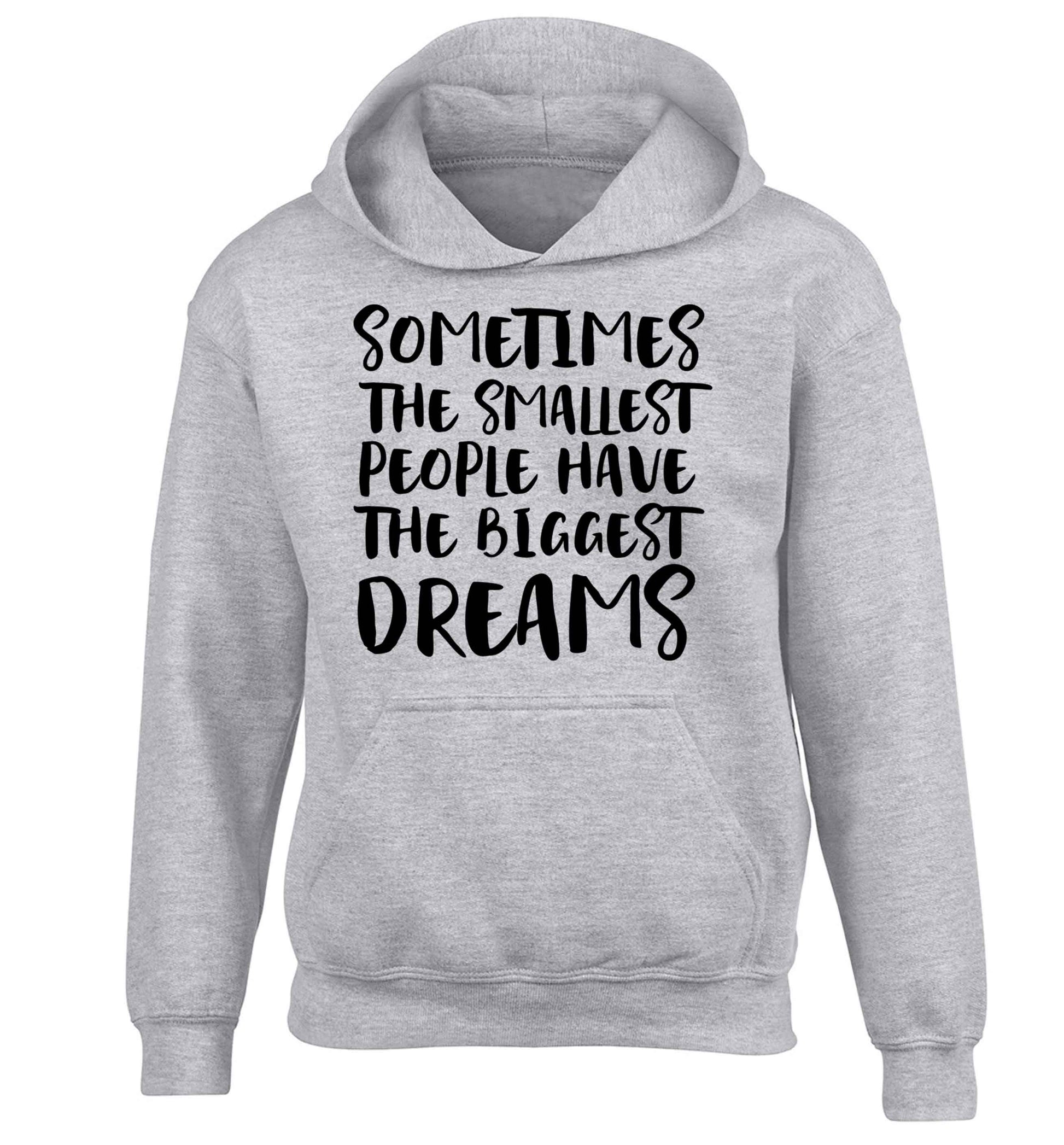 Sometimes the smallest people have the biggest dreams children's grey hoodie 12-13 Years