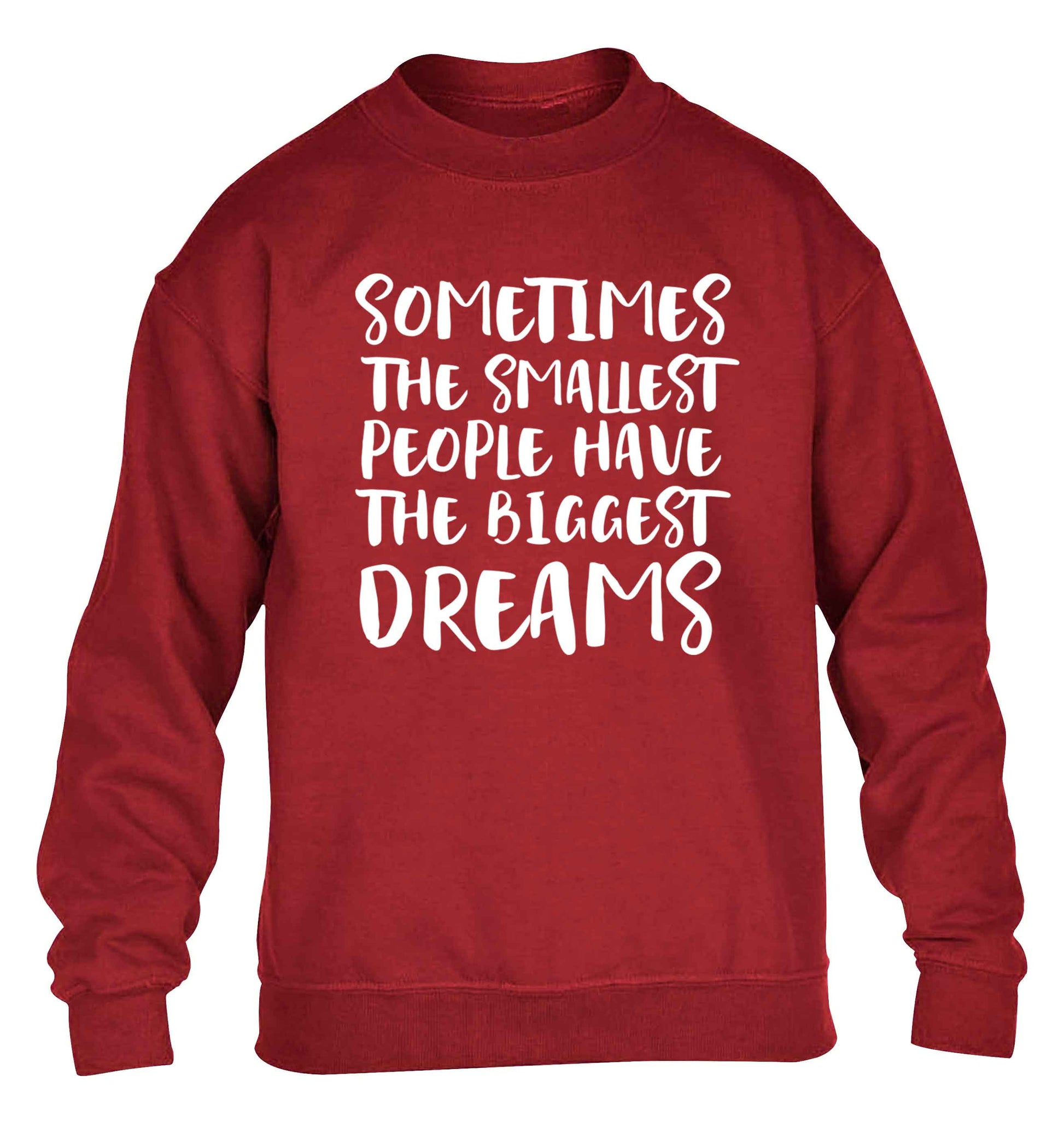 Sometimes the smallest people have the biggest dreams children's grey sweater 12-13 Years