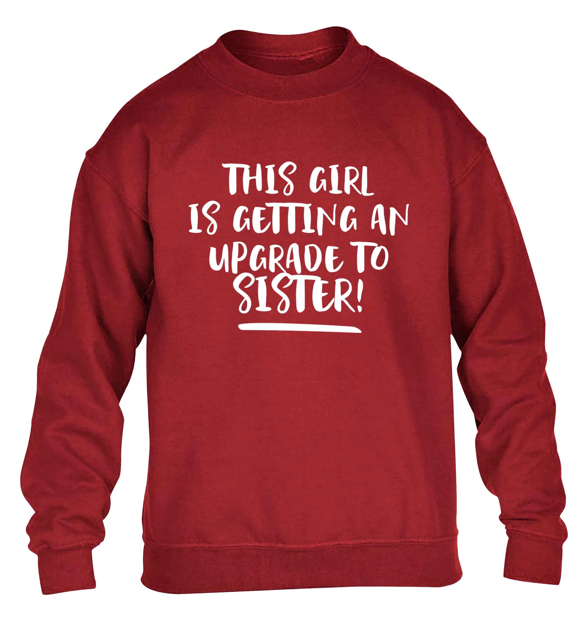This girl is getting an upgrade to sister! children's grey sweater 12-13 Years