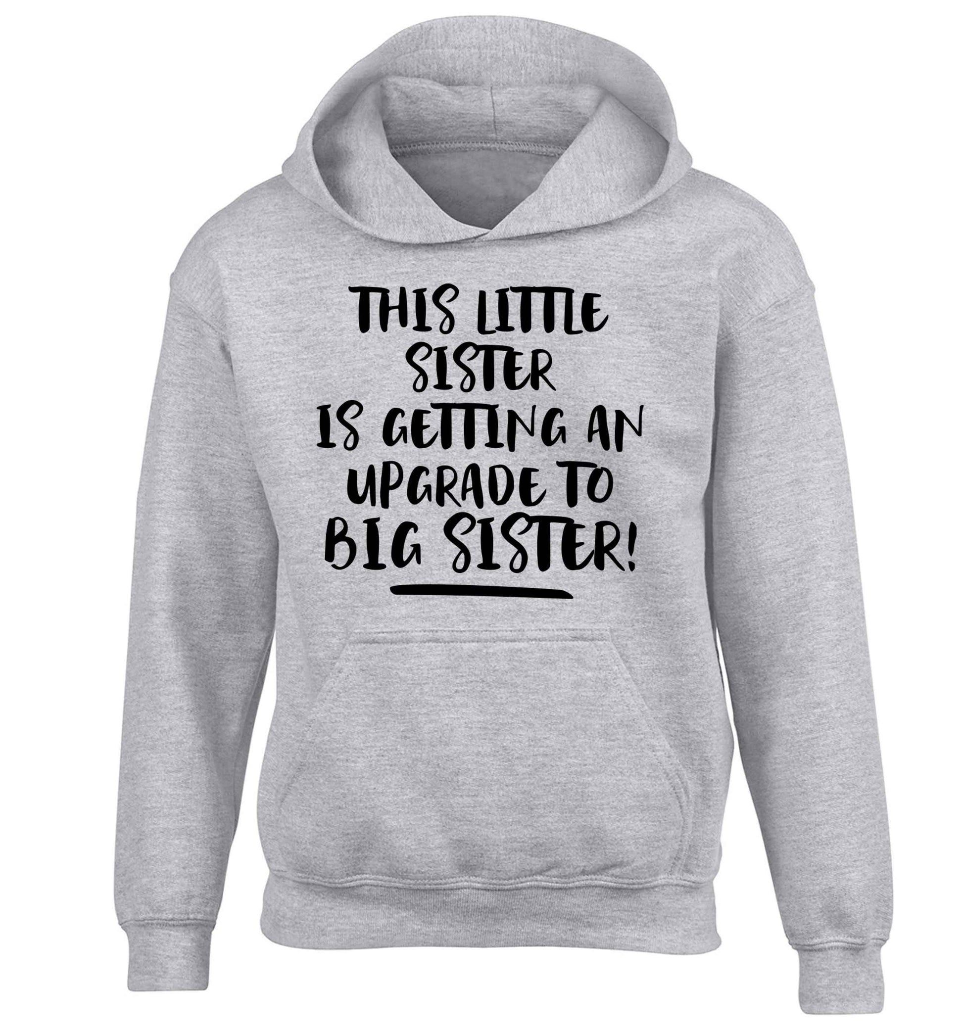 This little sister is getting an upgrade to big sister! children's grey hoodie 12-13 Years